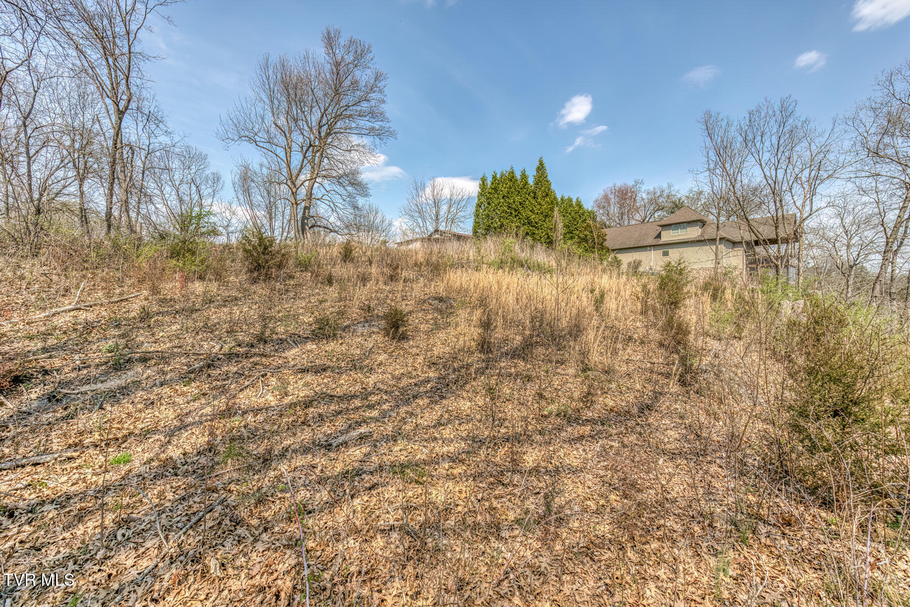 1199 Austin Springs Road, Piney Flats, Tennessee image 24