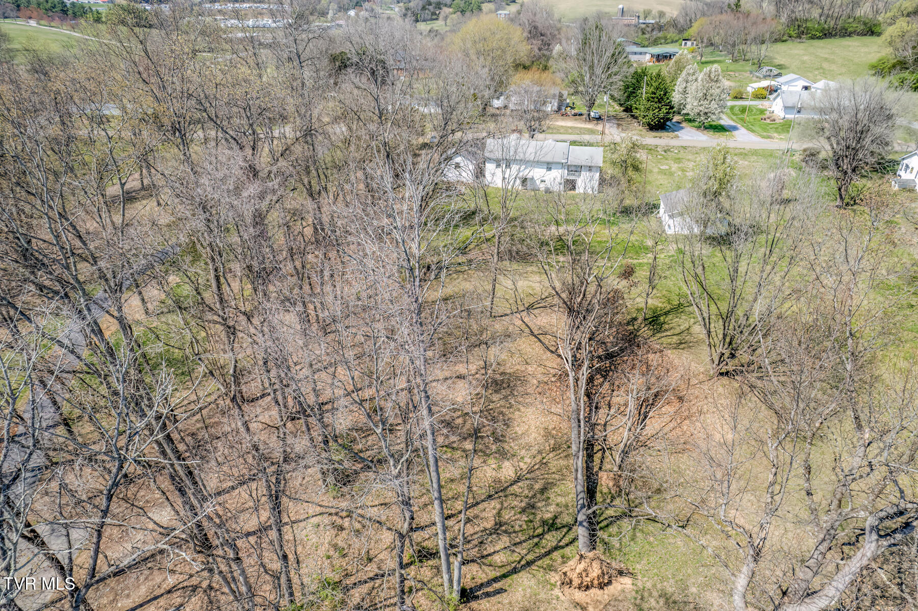 1199 Austin Springs Road, Piney Flats, Tennessee image 7