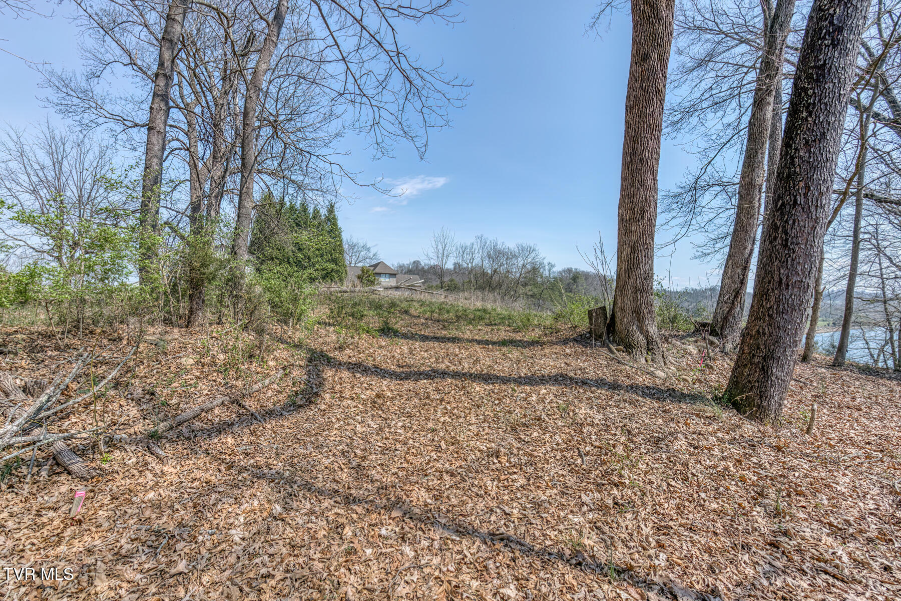 1199 Austin Springs Road, Piney Flats, Tennessee image 17