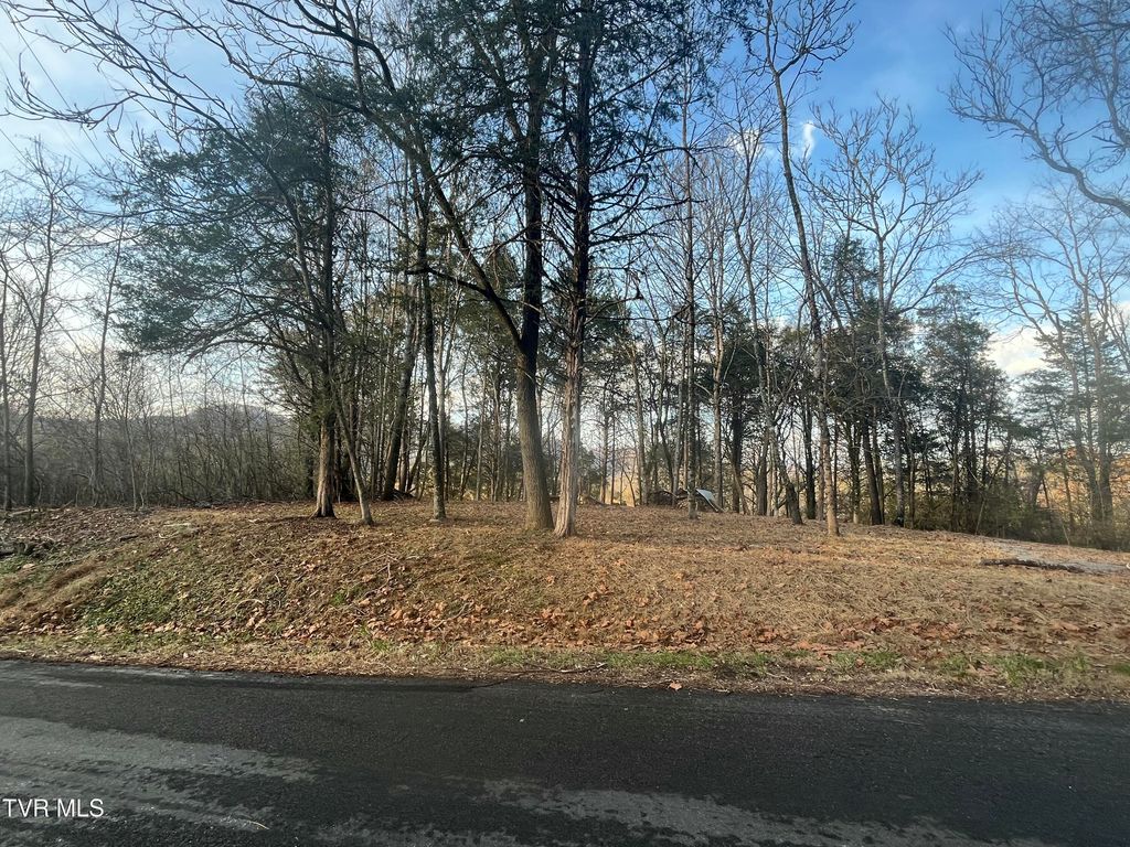 Photo of Tbd Hill Station Alley Rd., Gate City, VA 24251 (MLS # 9988554)