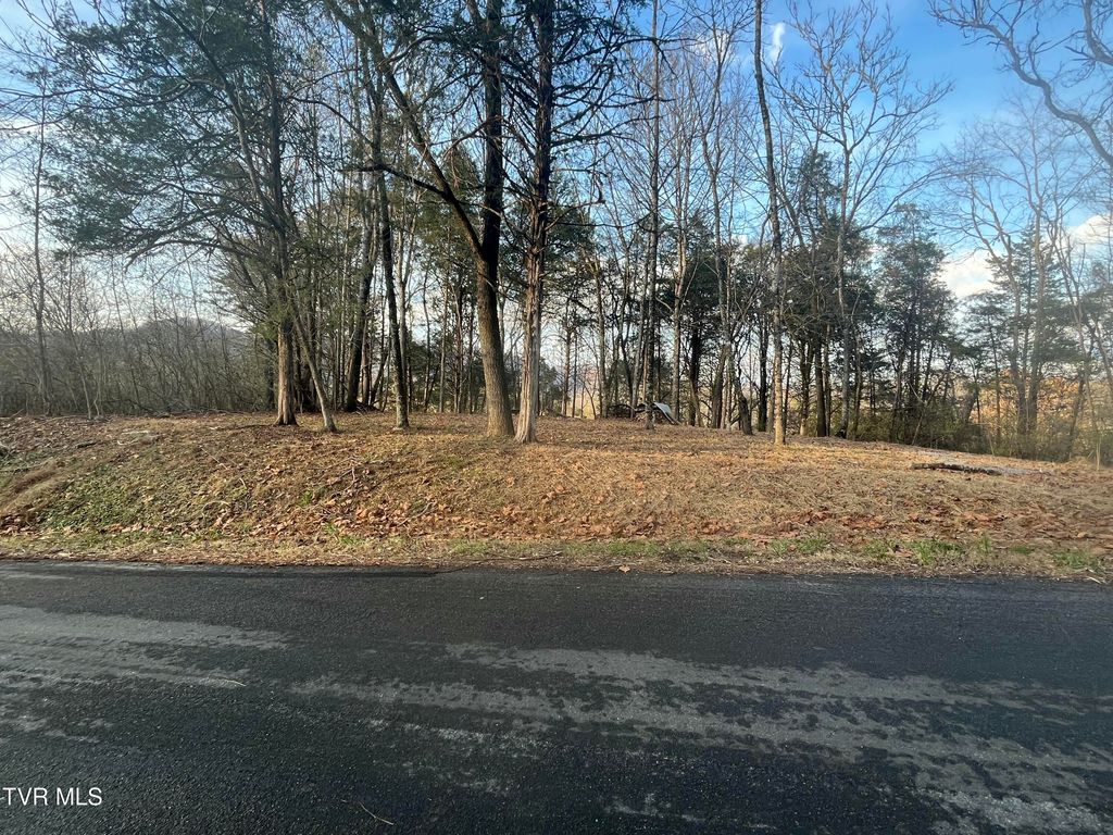 Photo of Tbd Hill Station Alley Rd., Gate City, VA 24251 (MLS # 9988554)