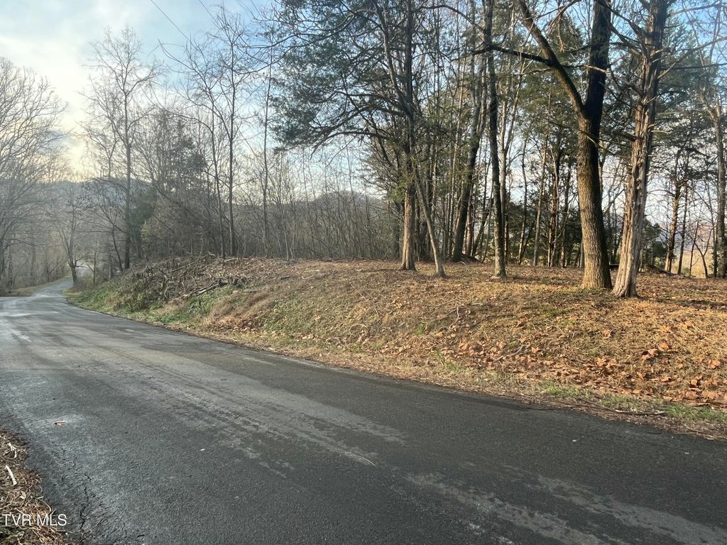 Photo of Tbd Hill Station Alley Rd., Gate City, VA 24251 (MLS # 9988554)