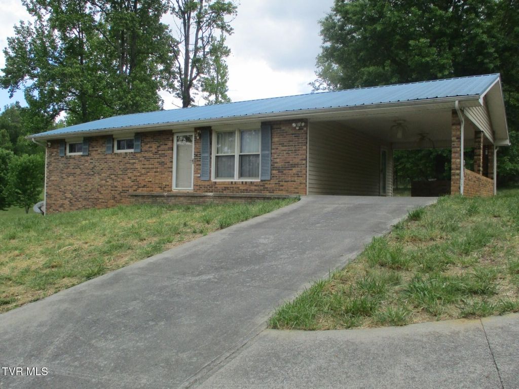 Photo of 270 Forrest Road, Fall Branch, TN 37656 (MLS # 9996041)