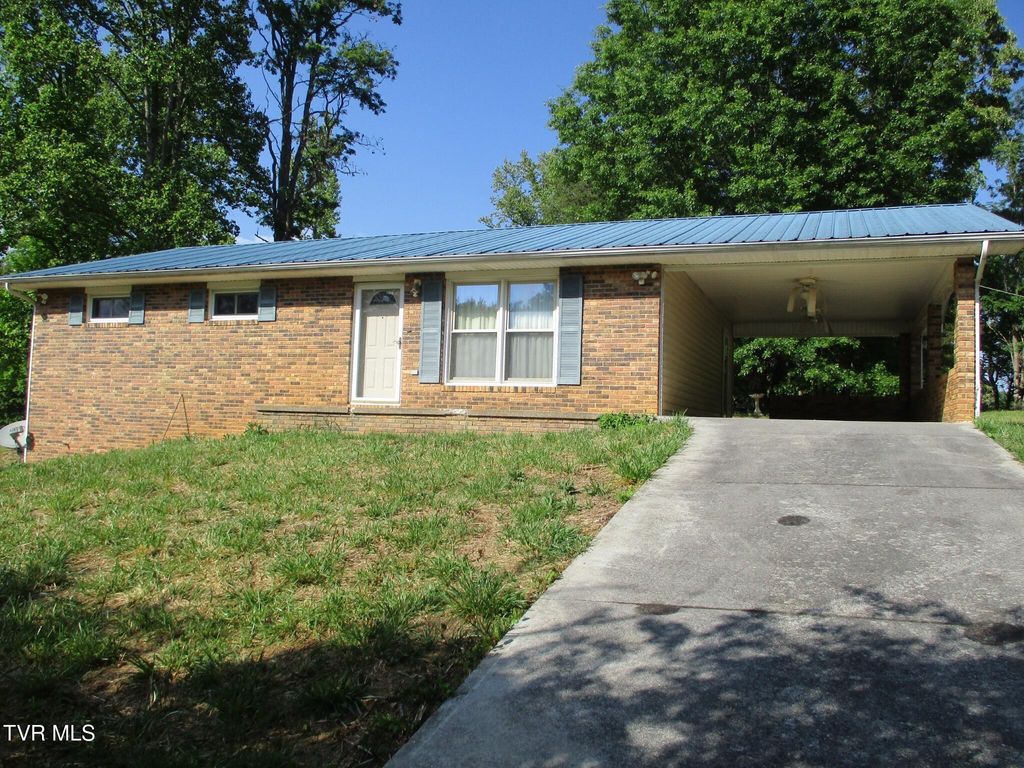 Photo of 270 Forrest Road, Fall Branch, TN 37656 (MLS # 9996041)