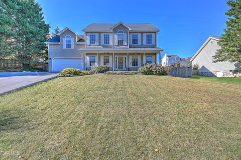 Homes For Sale - 311 Leslie Court<br/> Bristol, TN 37620