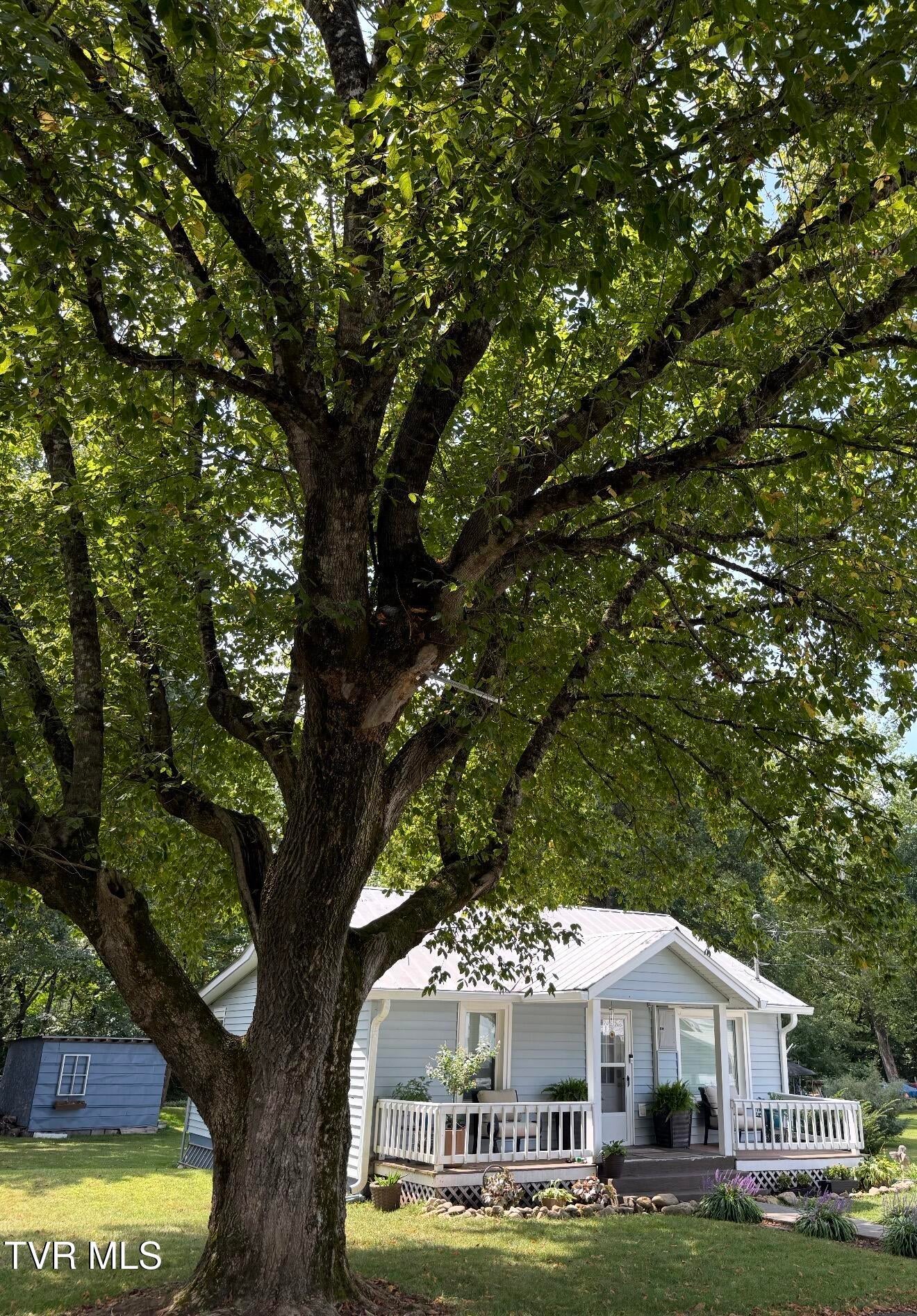 175 Brown Lane