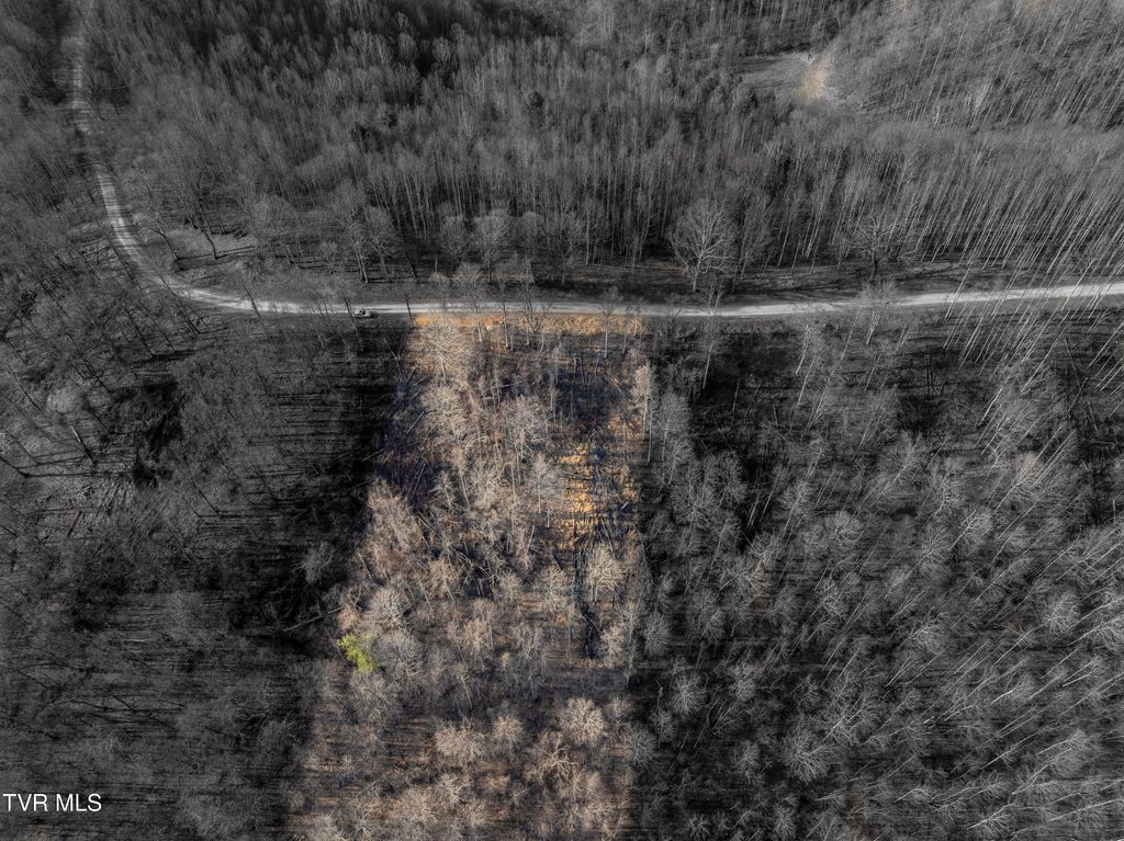 Photo of 52 Summerfield Drive, Butler, TN 37640 (MLS # 9991995)