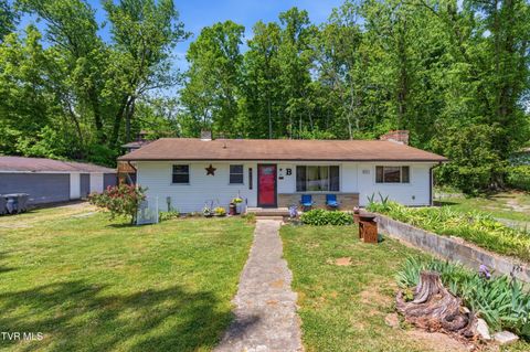 Photo of 433 Mimosa Street, Mount Carmel, TN 37645 (MLS # 9994692)