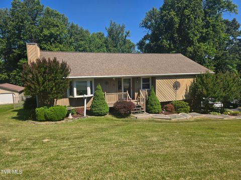 Photo of 3265 Winesap Road, Kingsport, TN 37663 (MLS # 9995571)