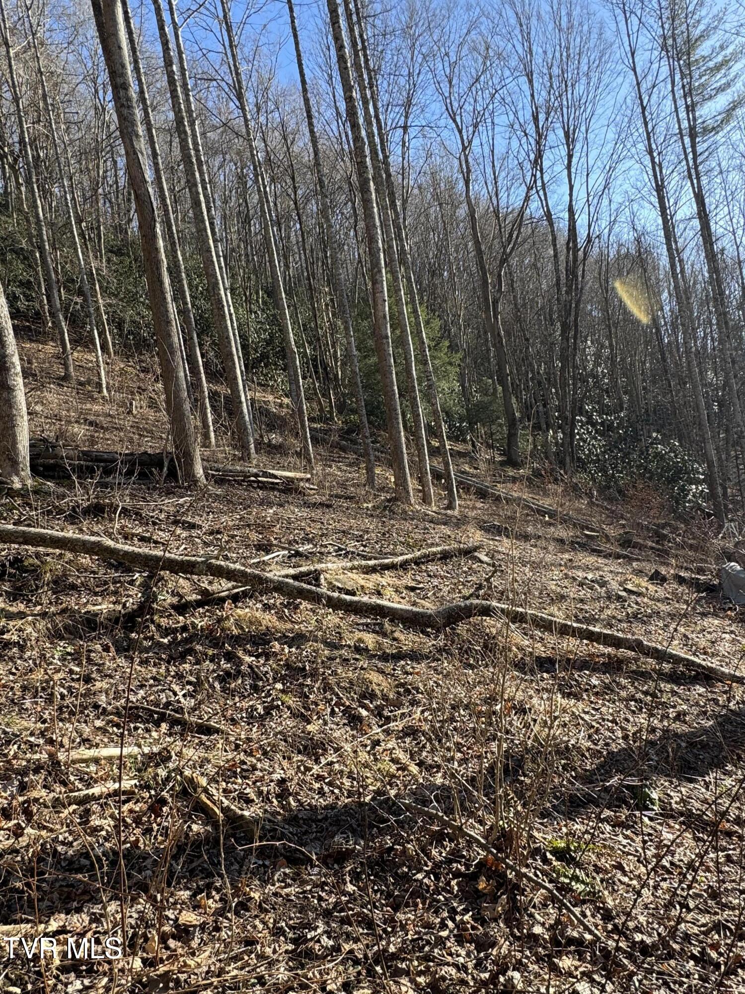 6020 Forge Creek Road Rd, Mountain City, Tennessee image 7