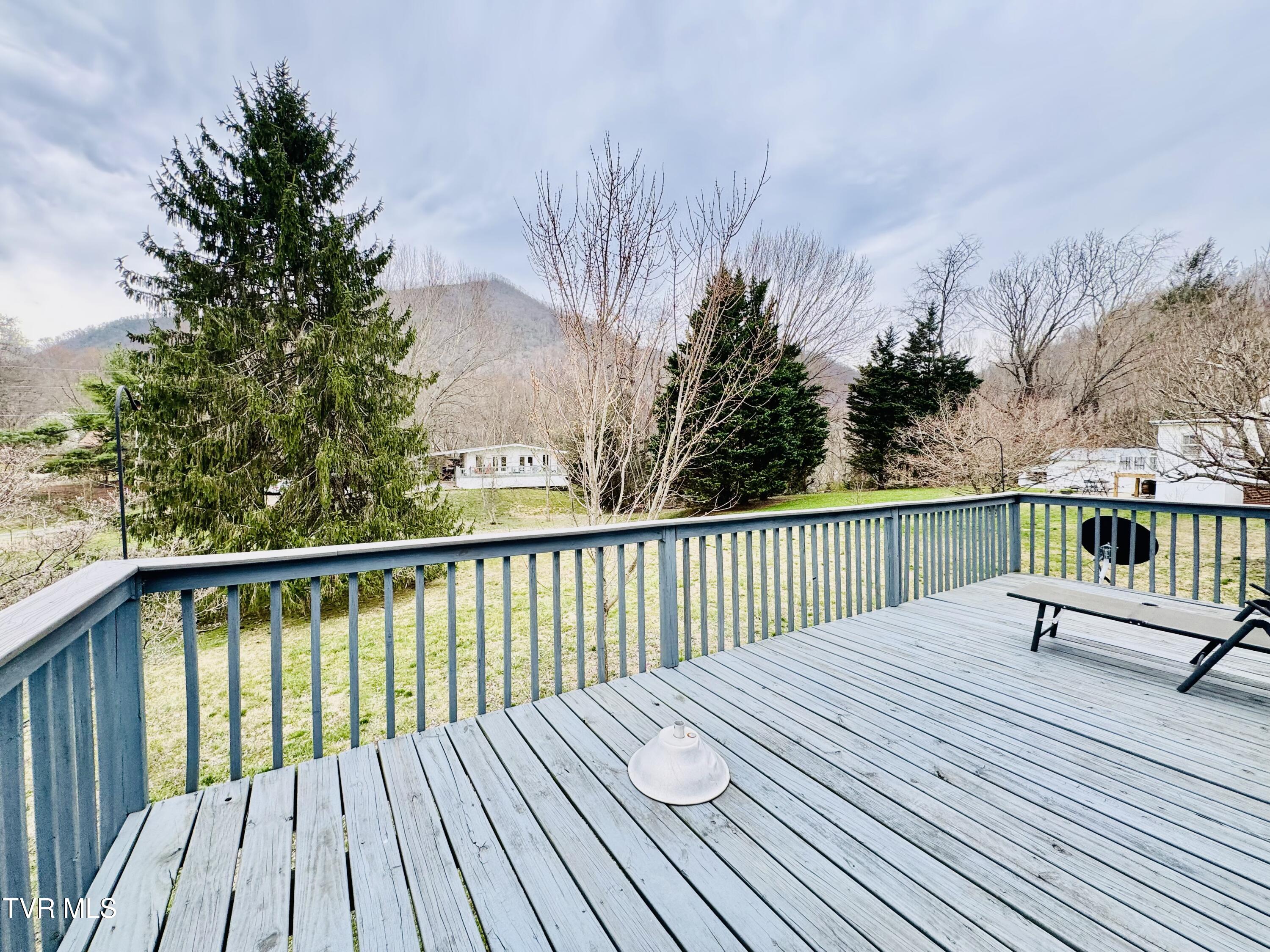 119 Ross Jenkins Circle, Elizabethton, Tennessee image 16