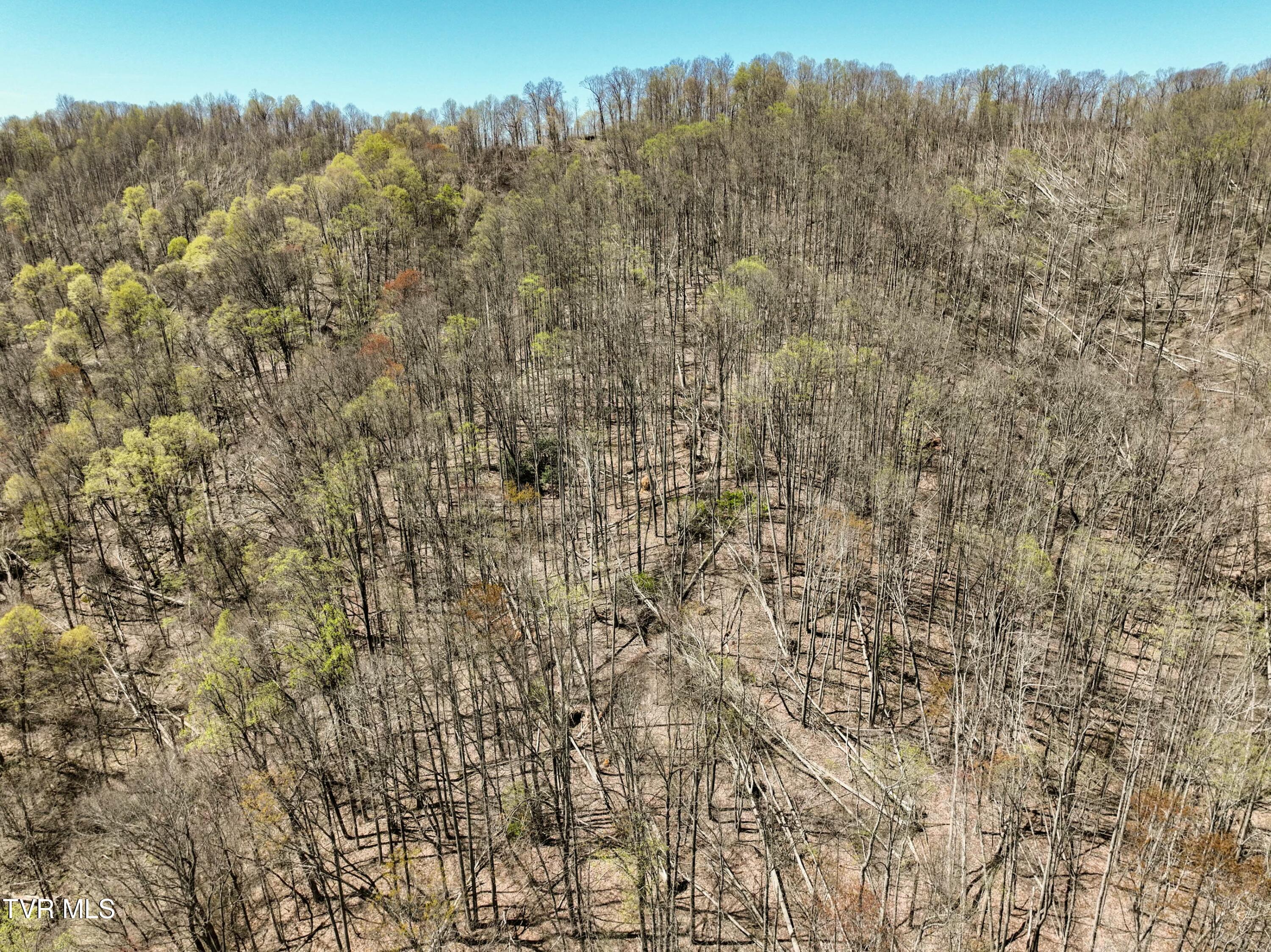 Tbd Cliff Mountain Way, Duffield, Virginia image 8