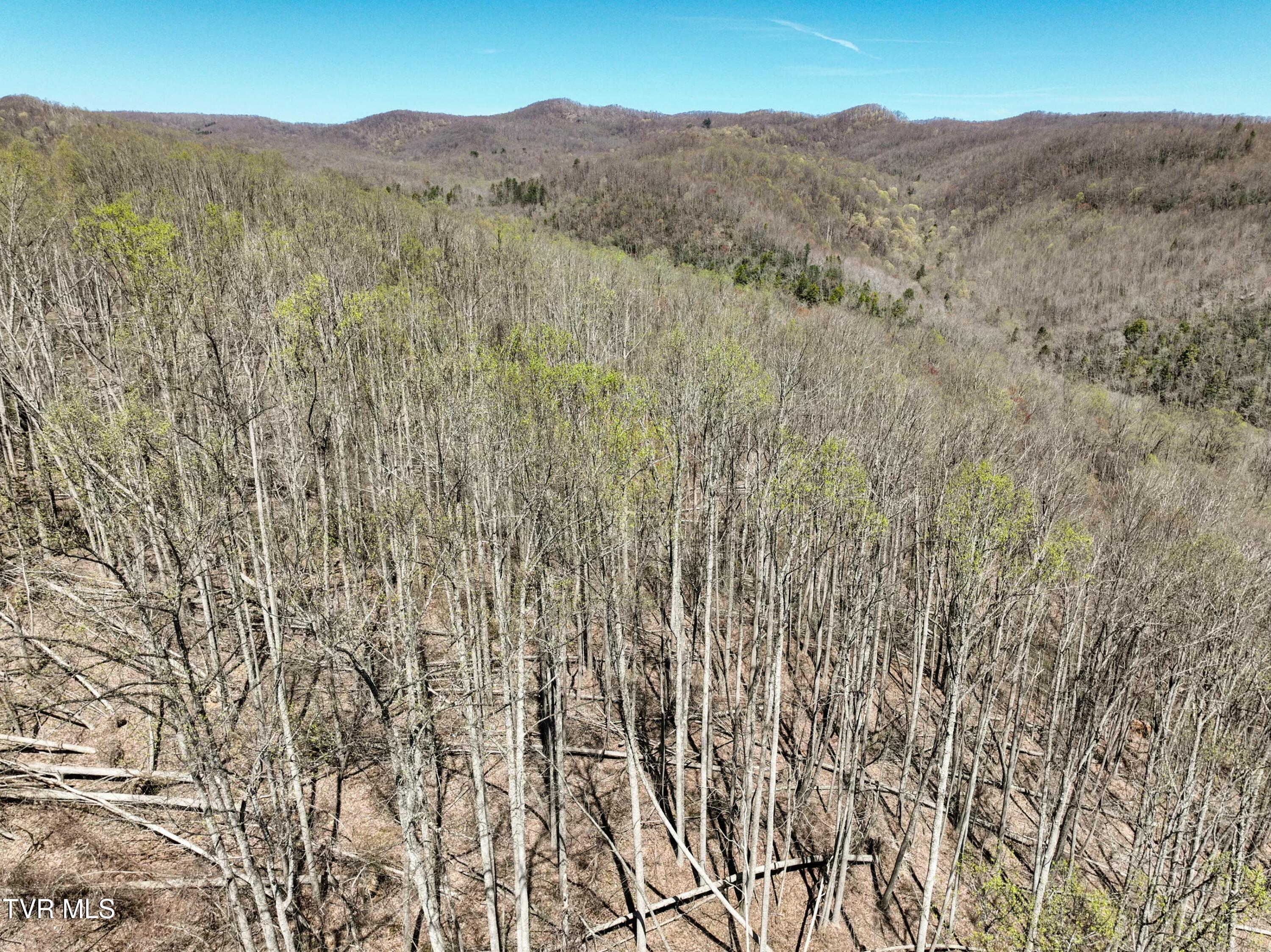 Tbd Cliff Mountain Way, Duffield, Virginia image 14