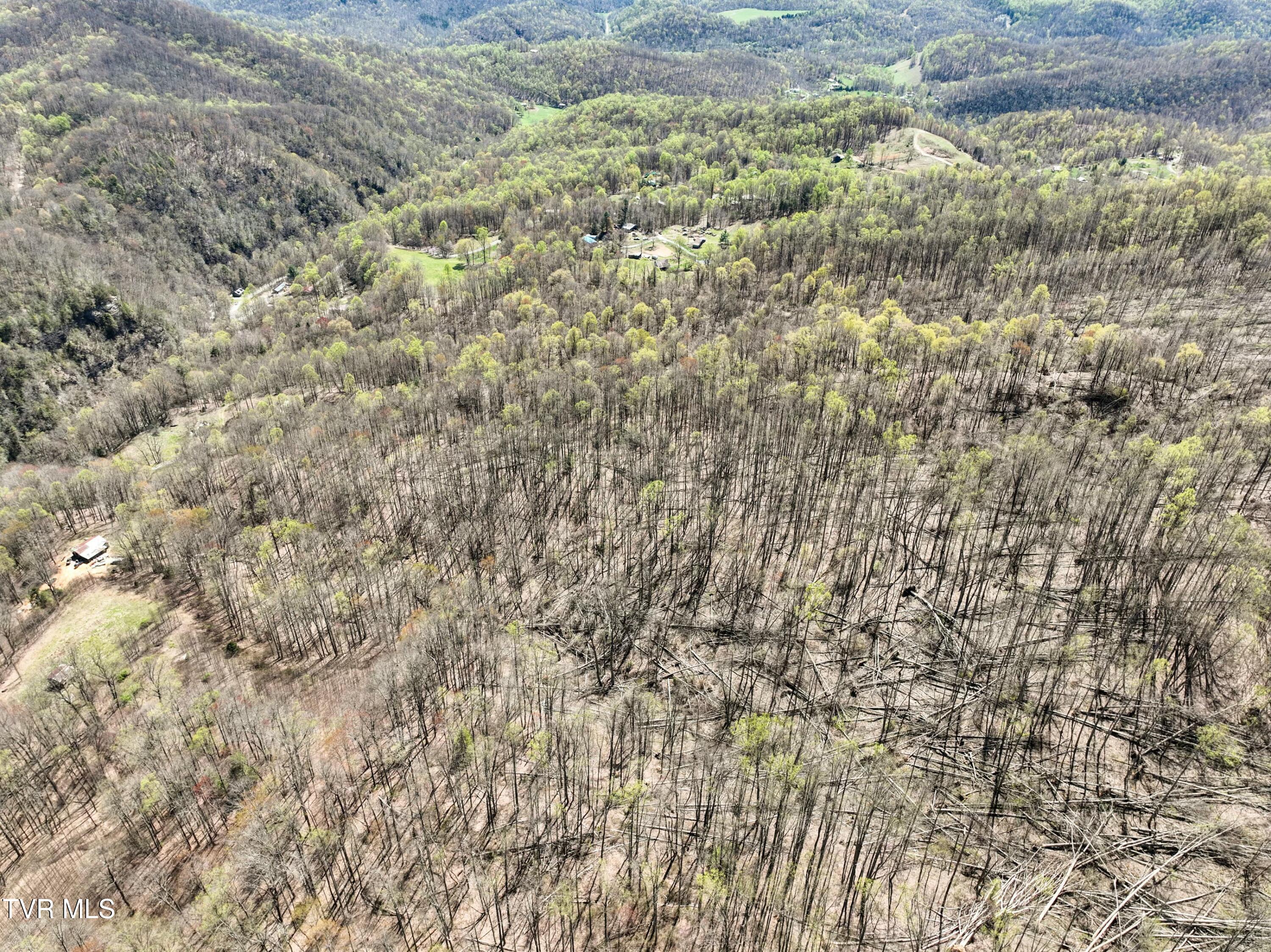 Tbd Cliff Mountain Way, Duffield, Virginia image 21