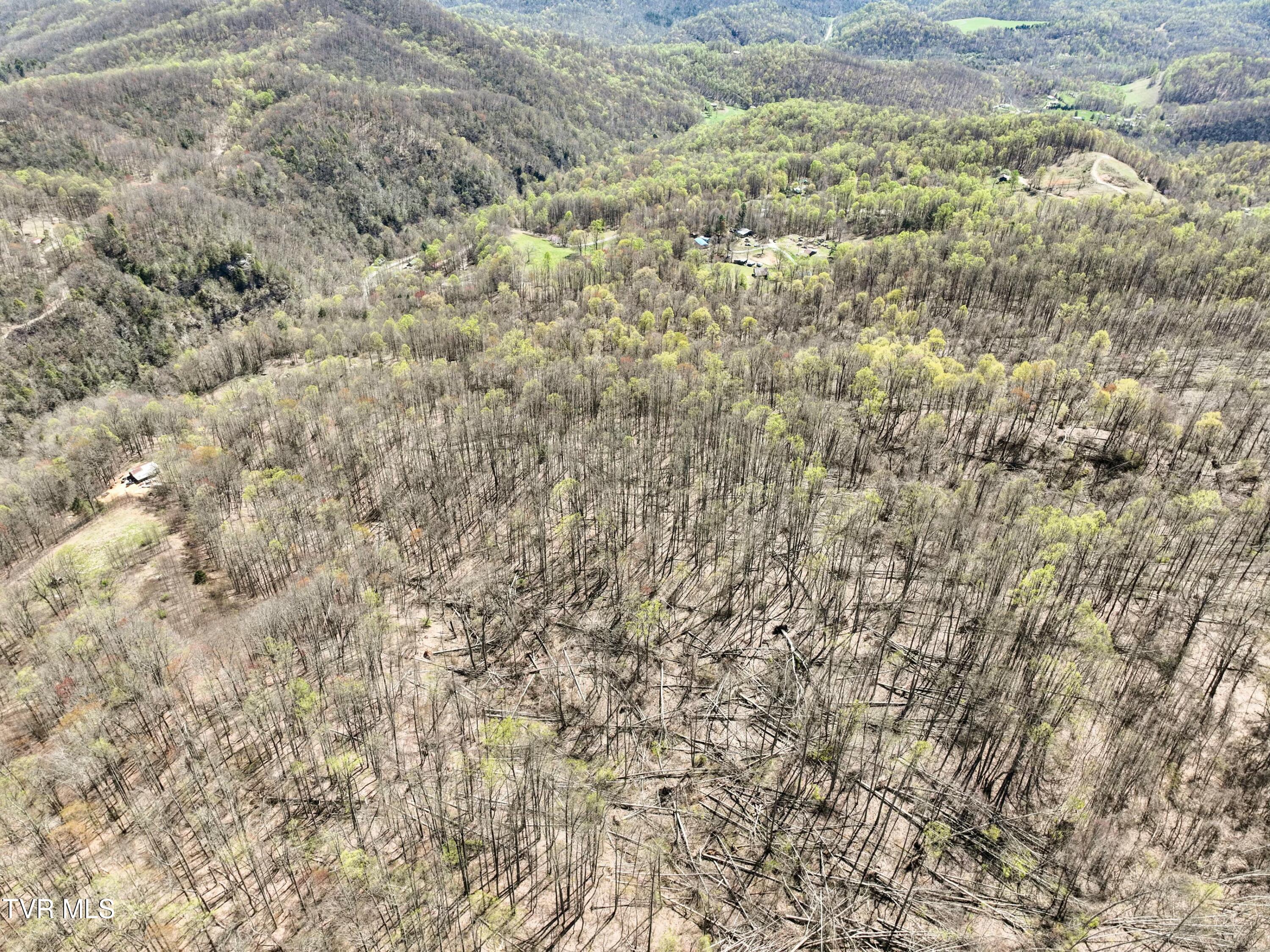 Tbd Cliff Mountain Way, Duffield, Virginia image 22