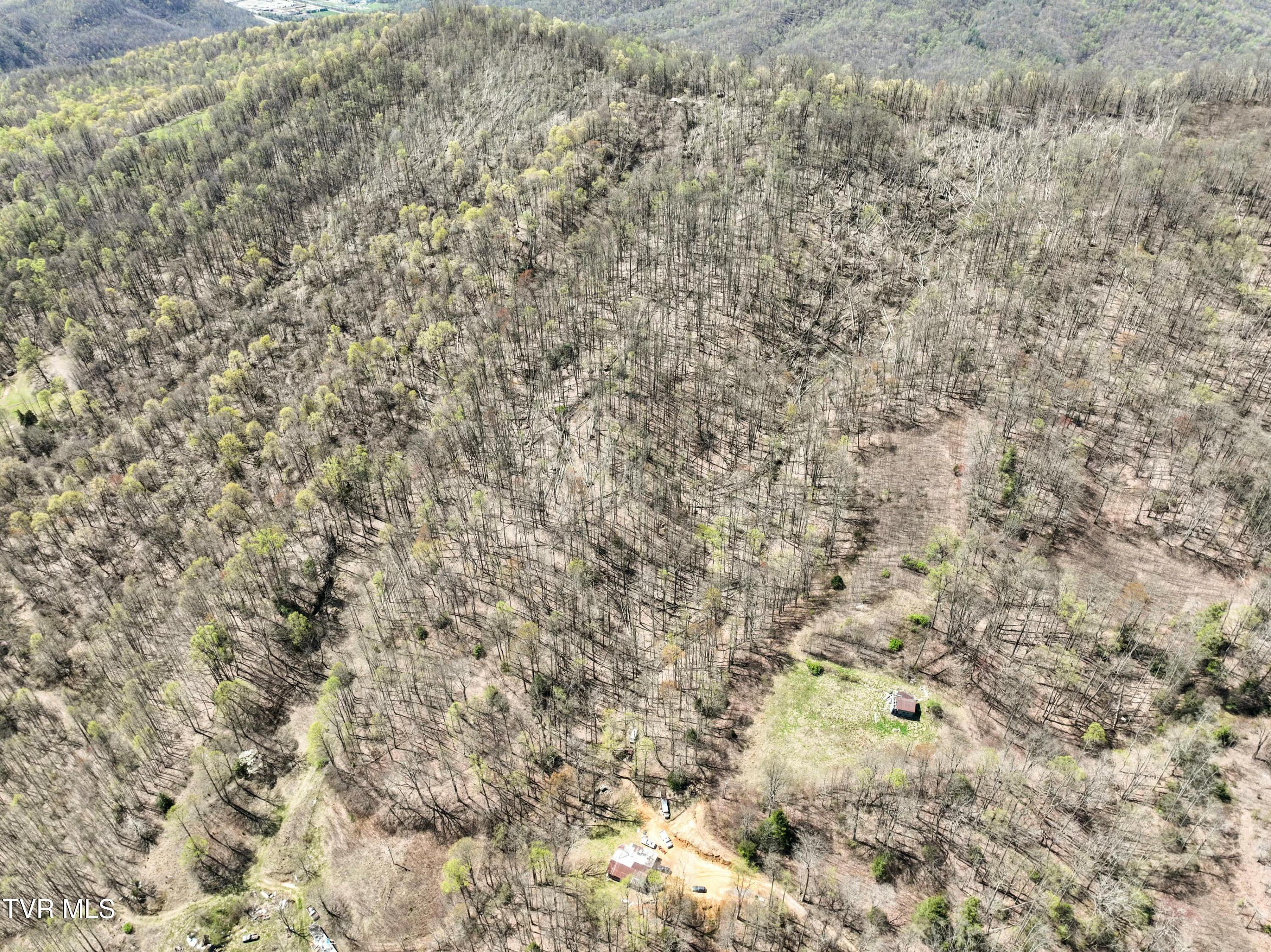 Tbd Cliff Mountain Way, Duffield, Virginia image 4