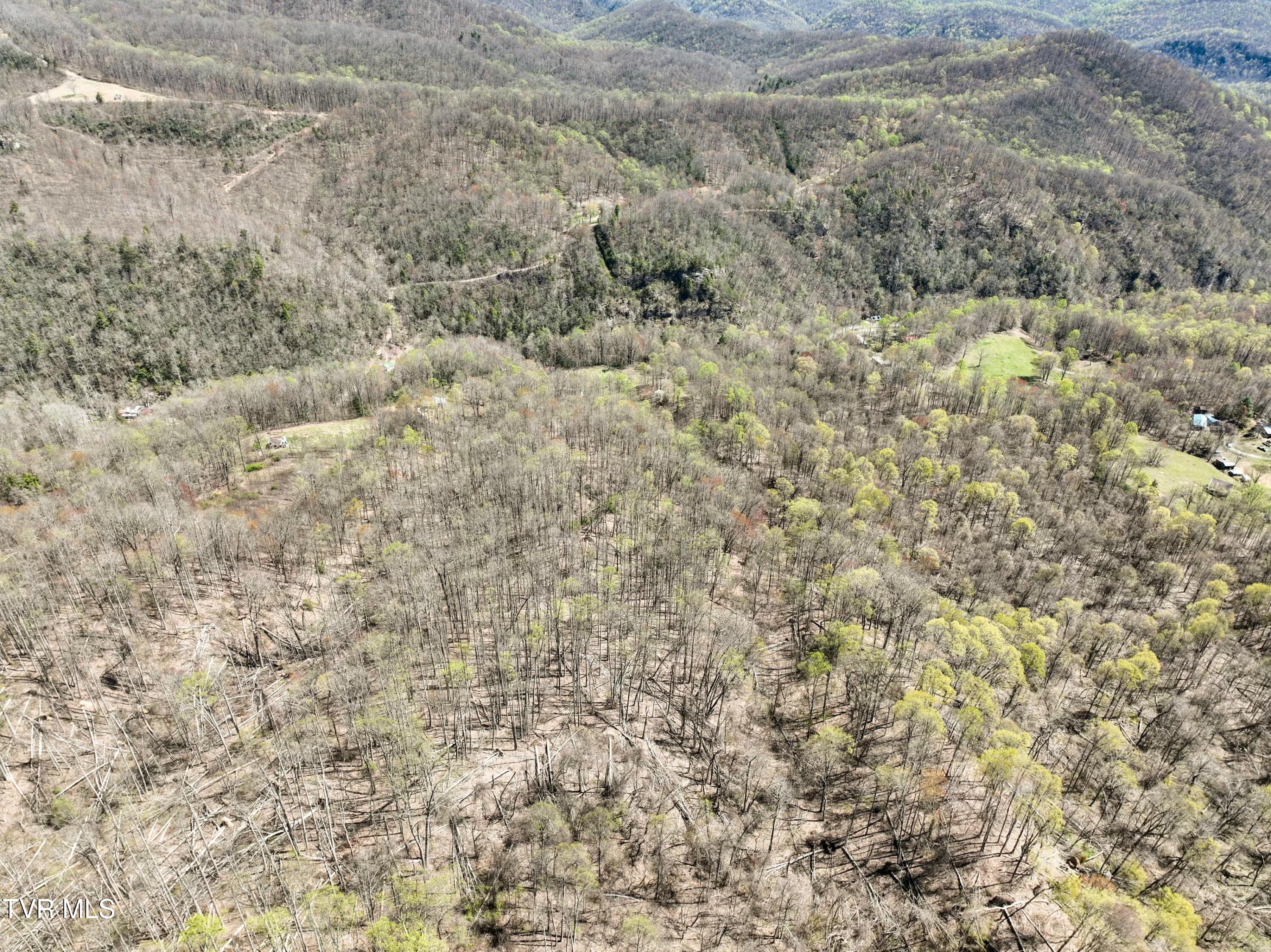 Tbd Cliff Mountain Way, Duffield, Virginia image 24