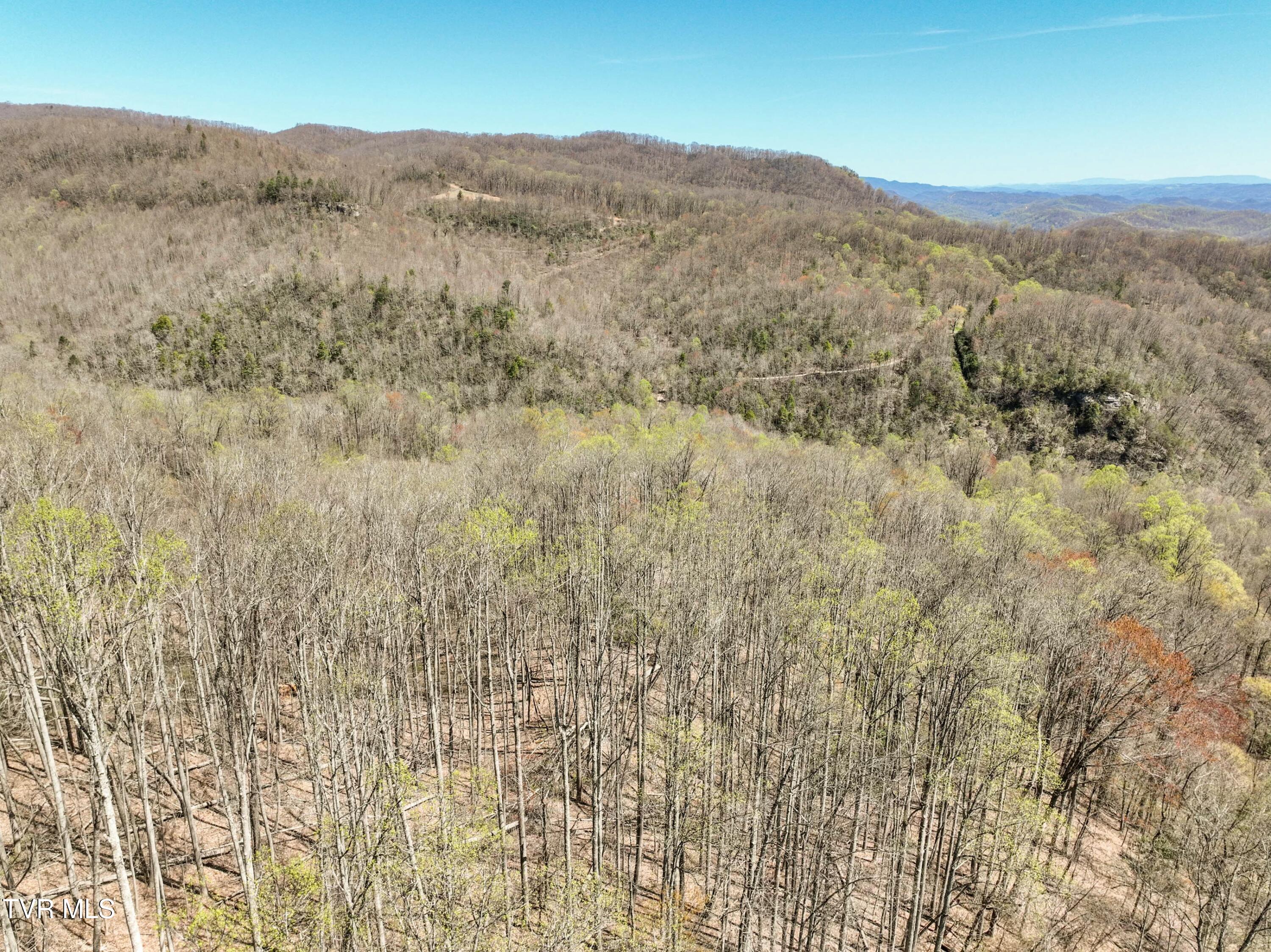 Tbd Cliff Mountain Way, Duffield, Virginia image 15