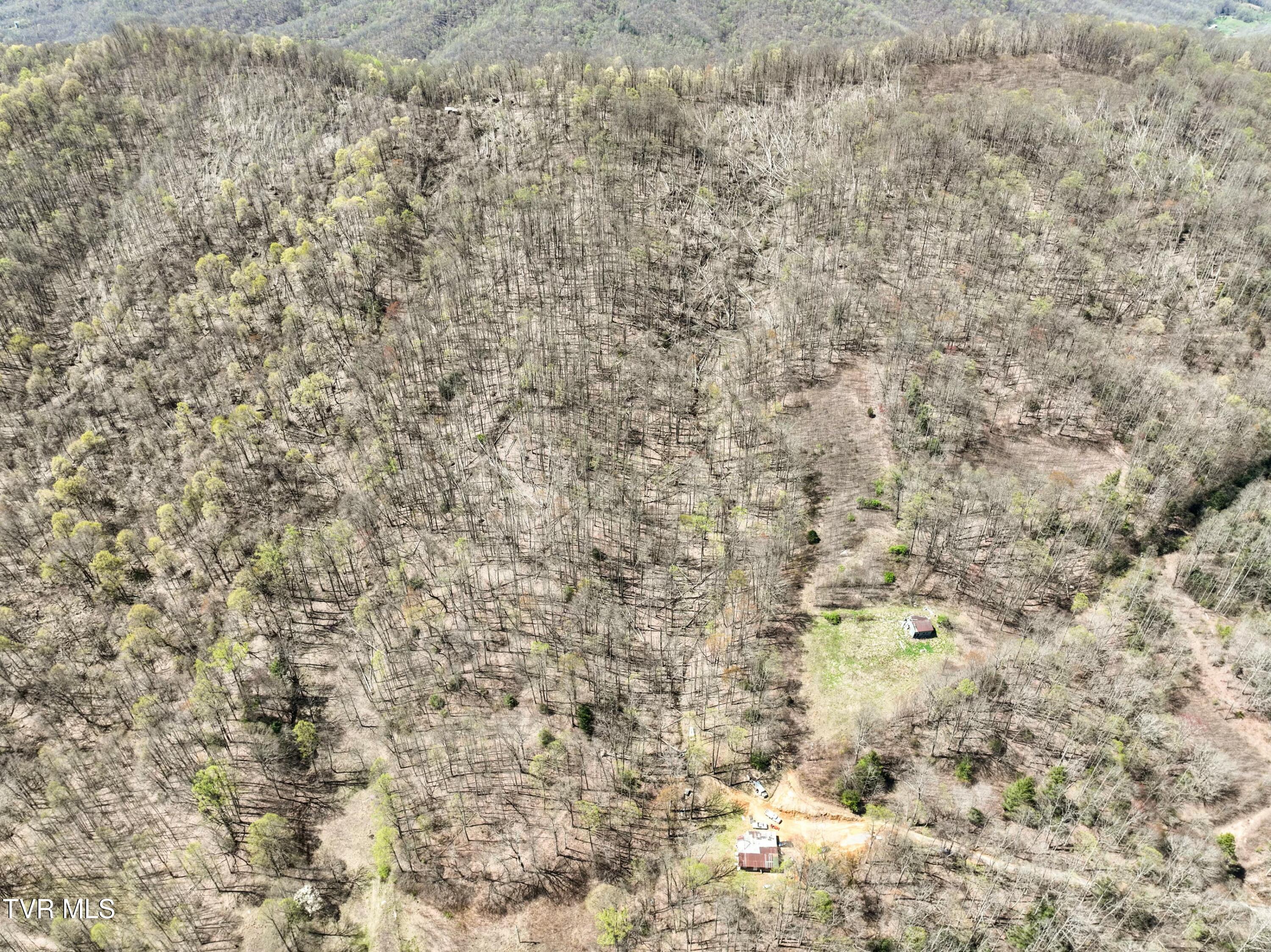 Tbd Cliff Mountain Way, Duffield, Virginia image 1