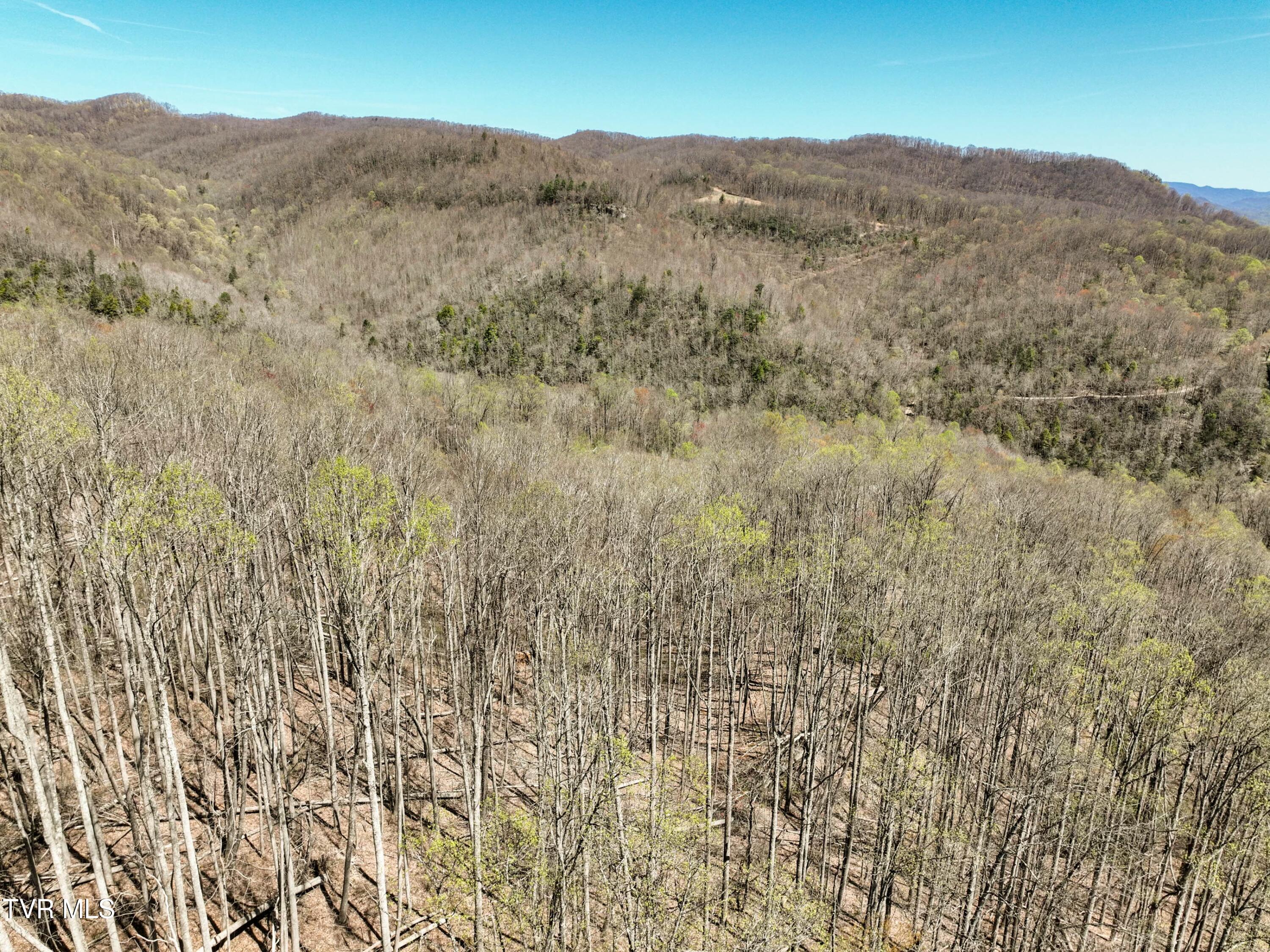 Tbd Cliff Mountain Way, Duffield, Virginia image 16