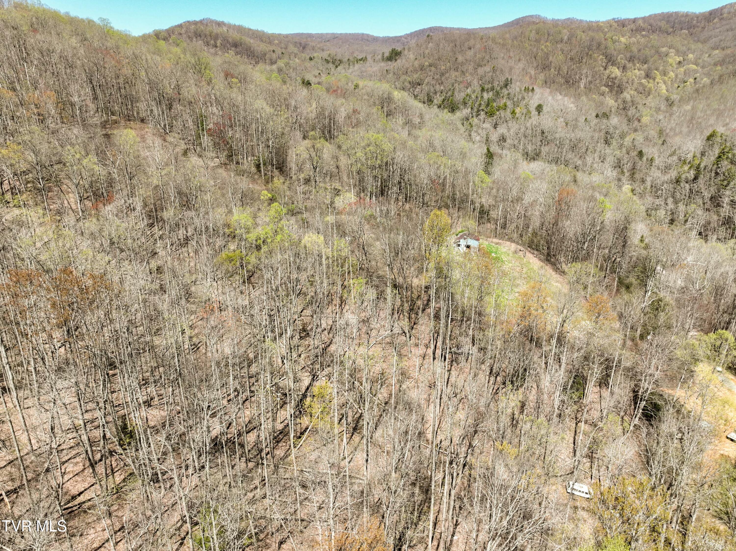 Tbd Cliff Mountain Way, Duffield, Virginia image 19