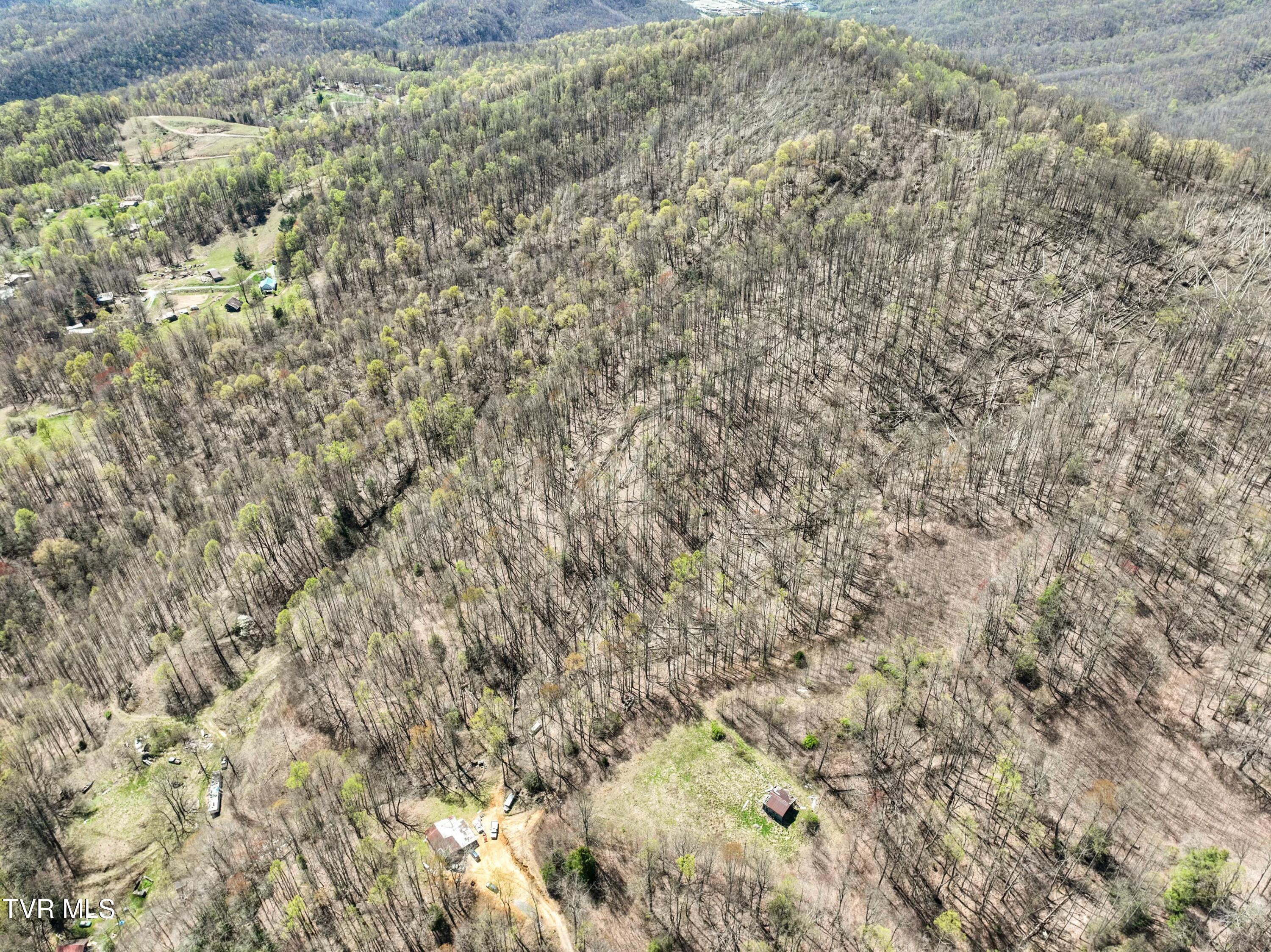 Tbd Cliff Mountain Way, Duffield, Virginia image 5
