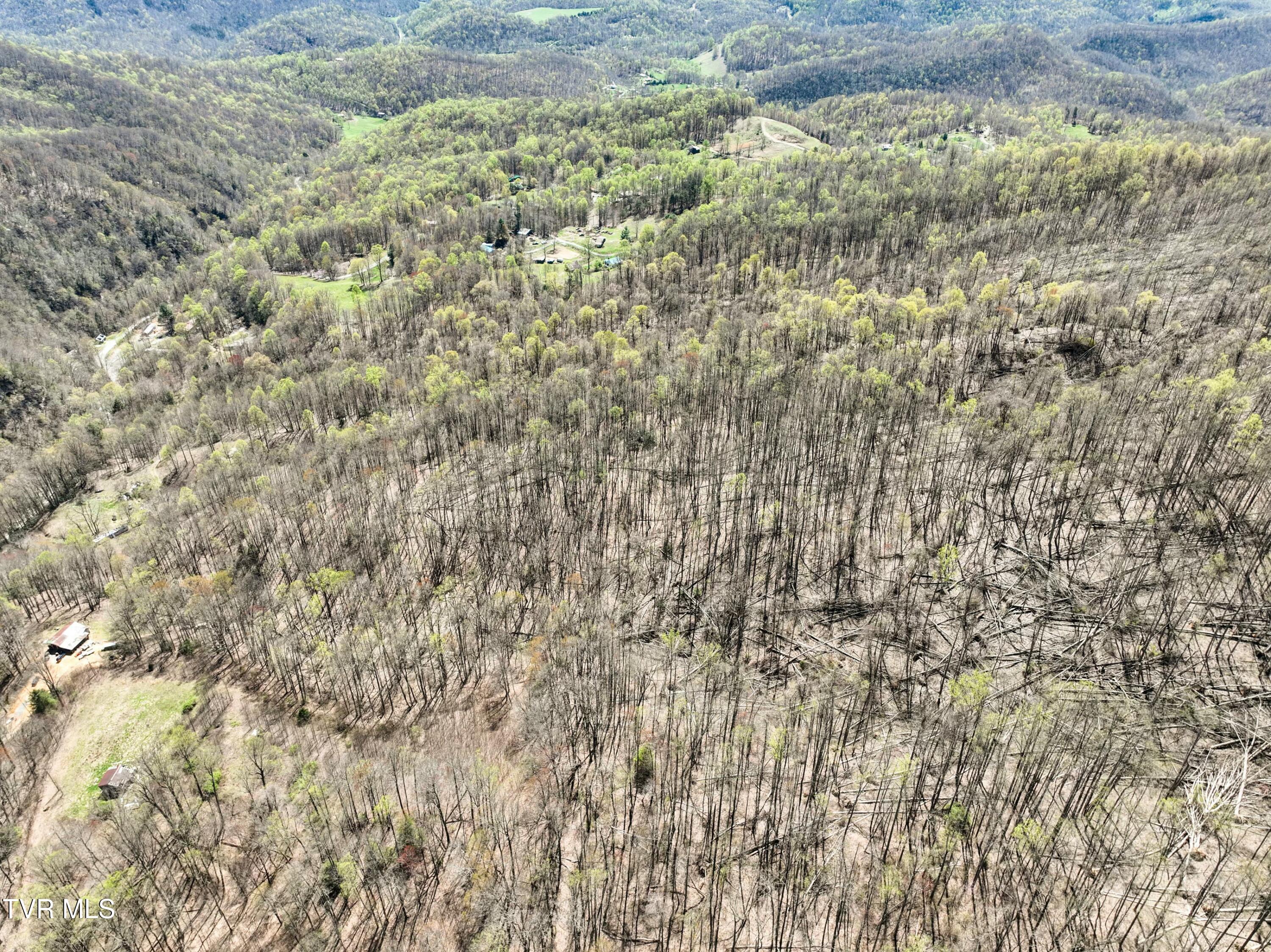 Tbd Cliff Mountain Way, Duffield, Virginia image 20