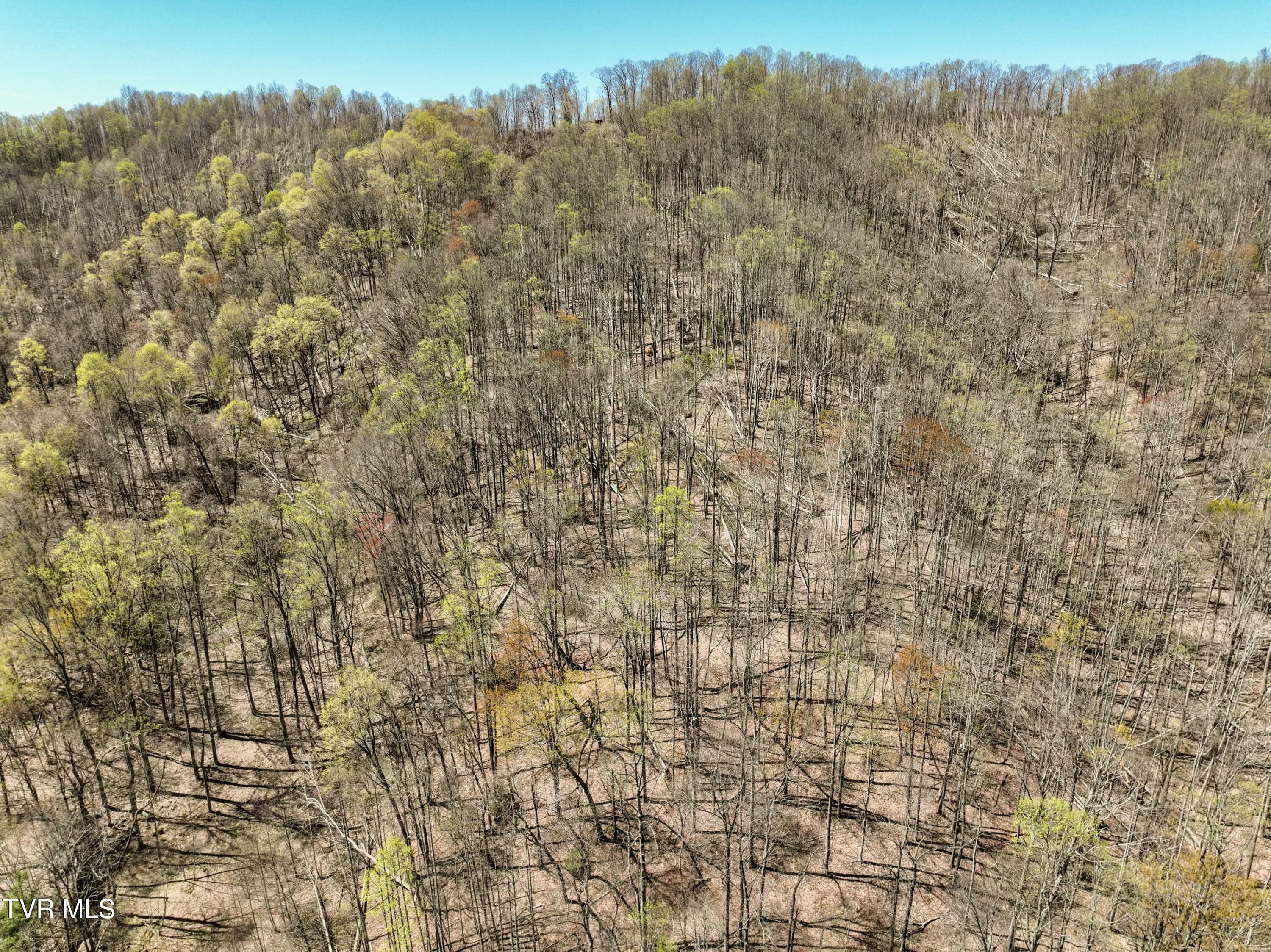 Tbd Cliff Mountain Way, Duffield, Virginia image 7