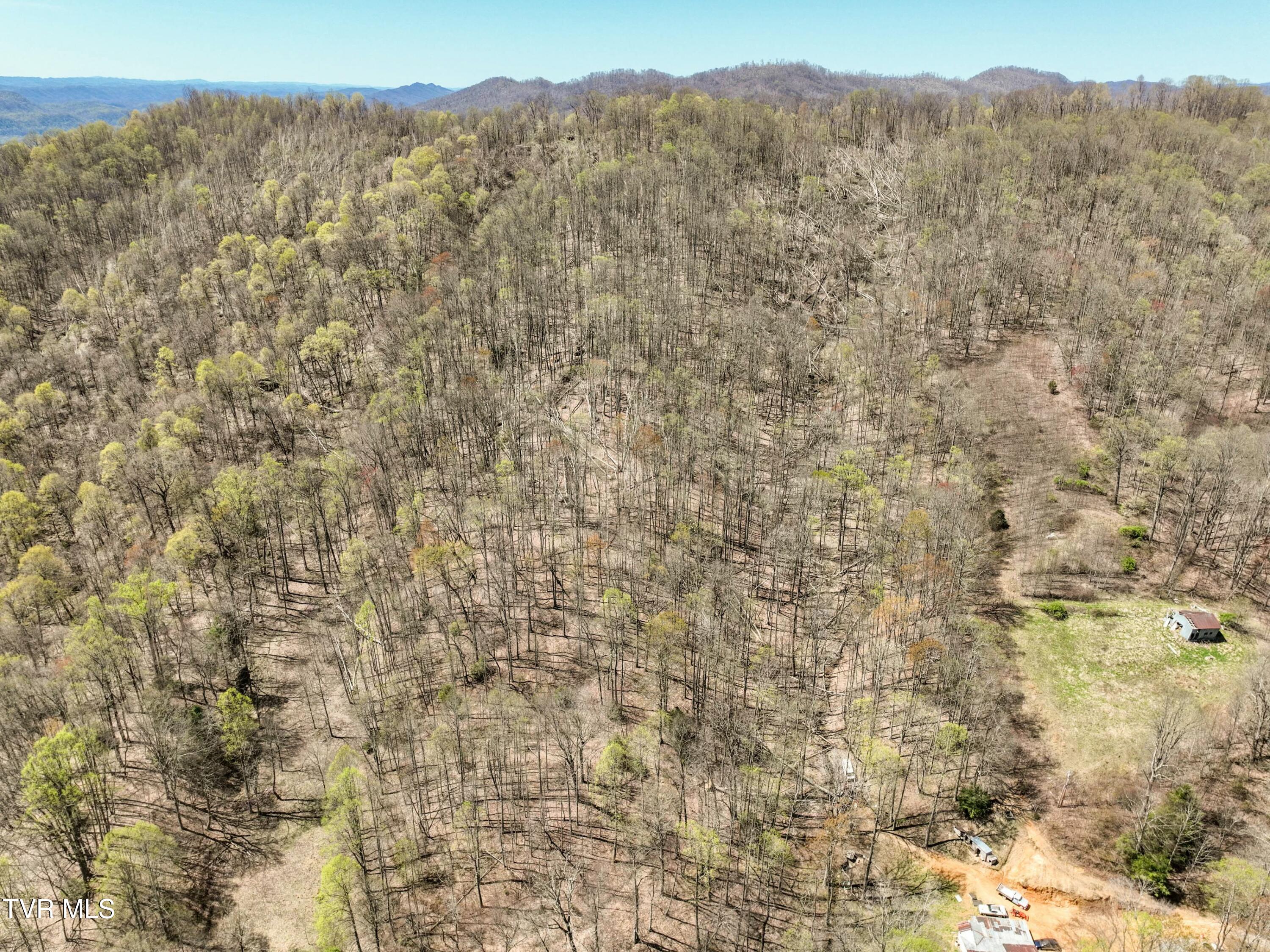Tbd Cliff Mountain Way, Duffield, Virginia image 6