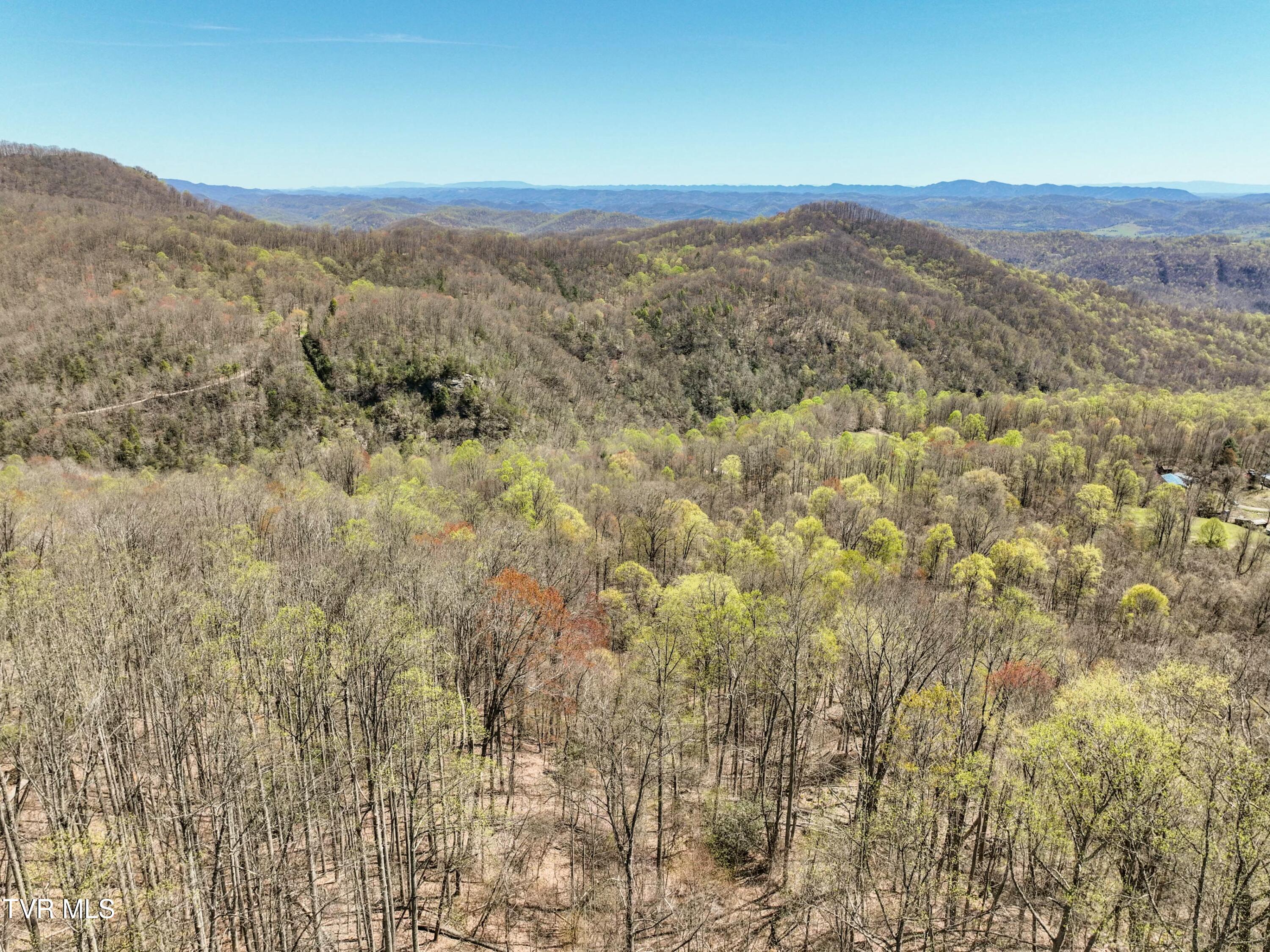 Tbd Cliff Mountain Way, Duffield, Virginia image 9