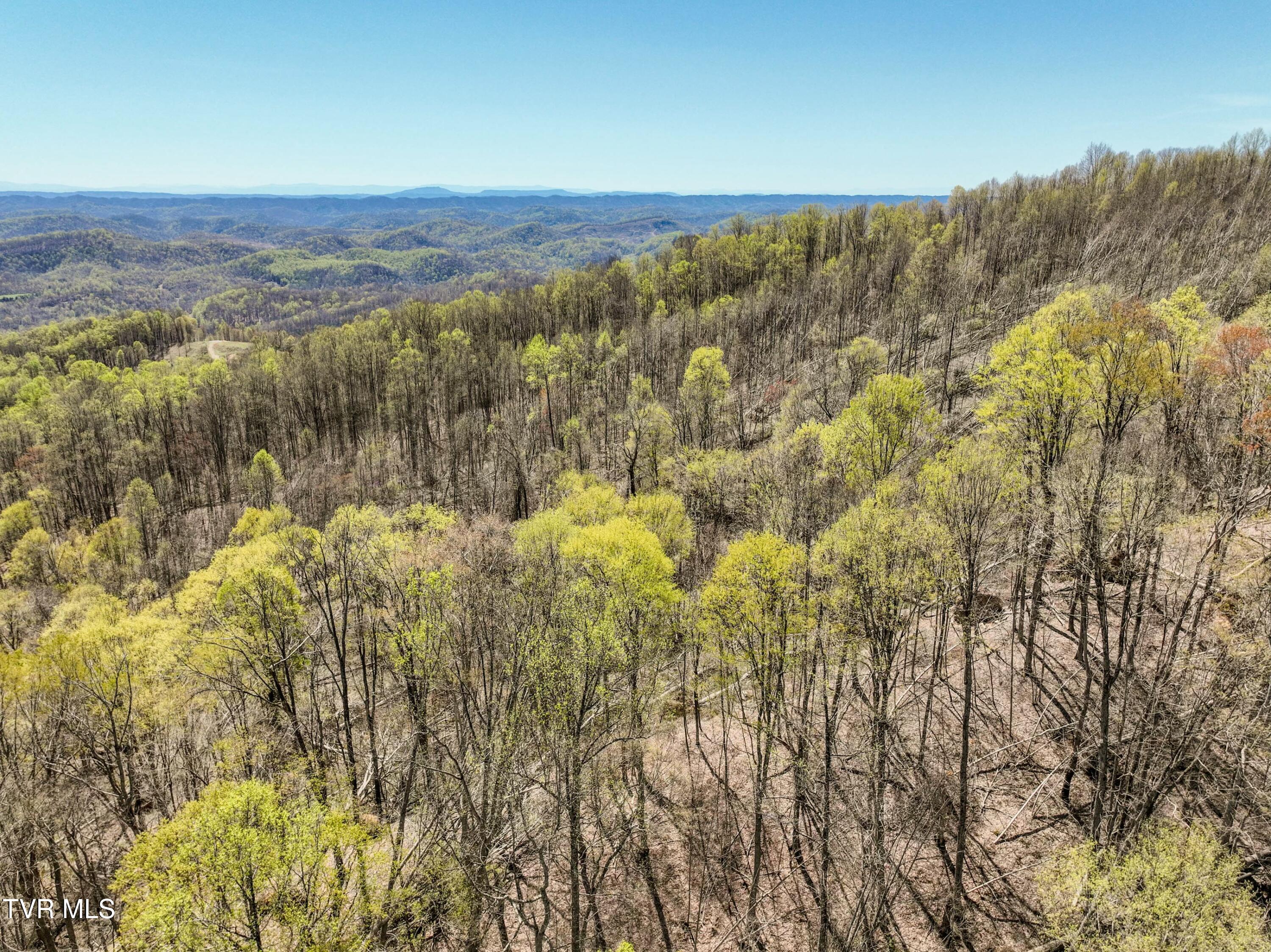Tbd Cliff Mountain Way, Duffield, Virginia image 12