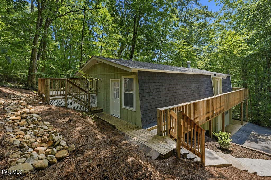 Photo of 201 Tamassee Drive, Johnson City, TN 37601 (MLS # 9998905)