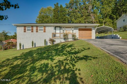 Photo of 413 Anngea Lane, Kingsport, TN 37660 (MLS # 9986436)