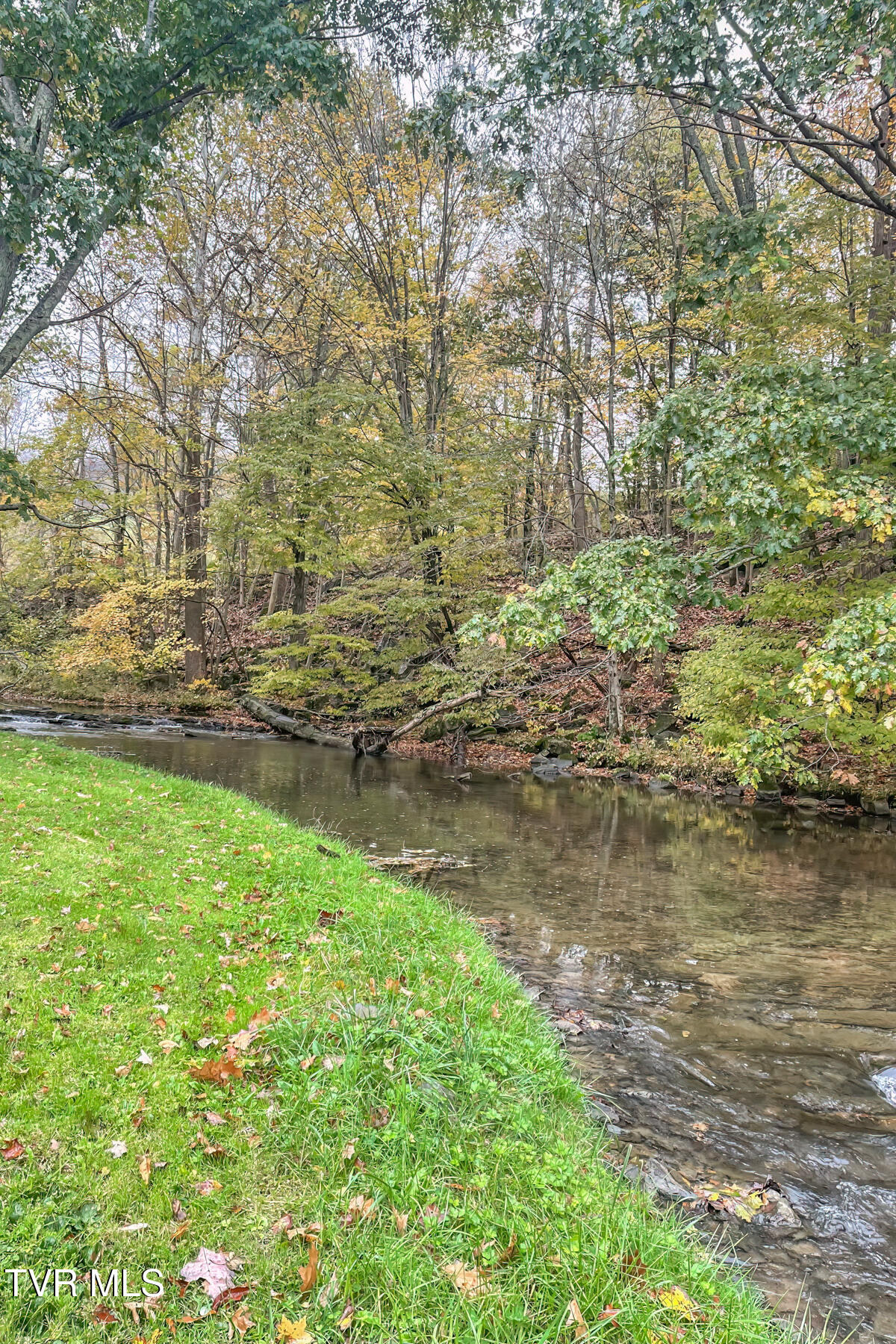 112 Conns Drive, Tazewell, Virginia image 44