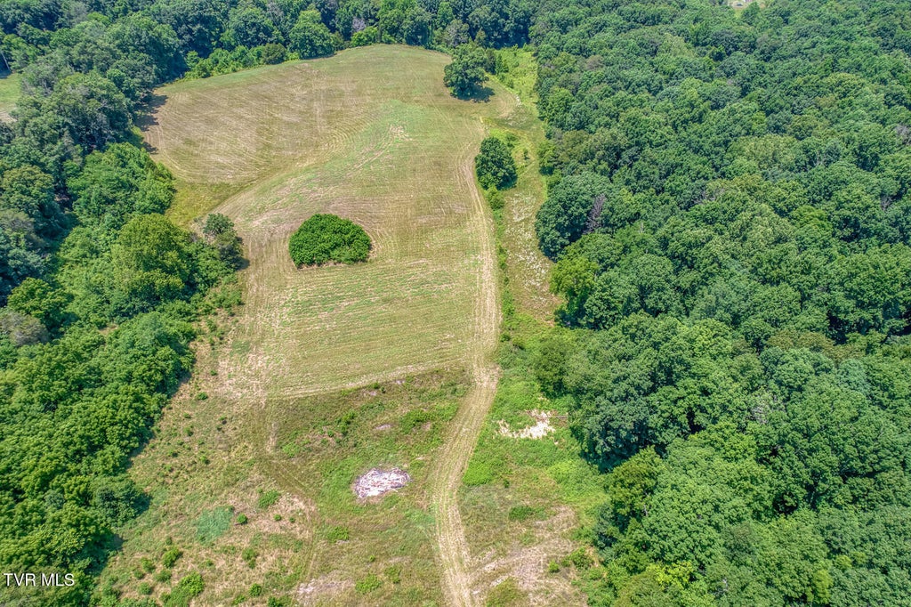 Photo of 645 Hickory Cove Road, Rogersville, TN 37857 (MLS # 9997027)