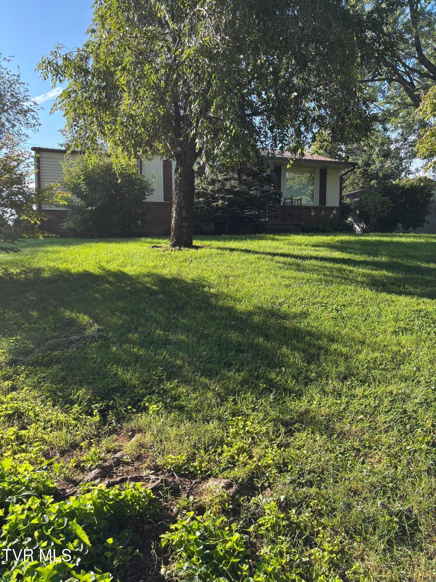 2931 Watauga Road