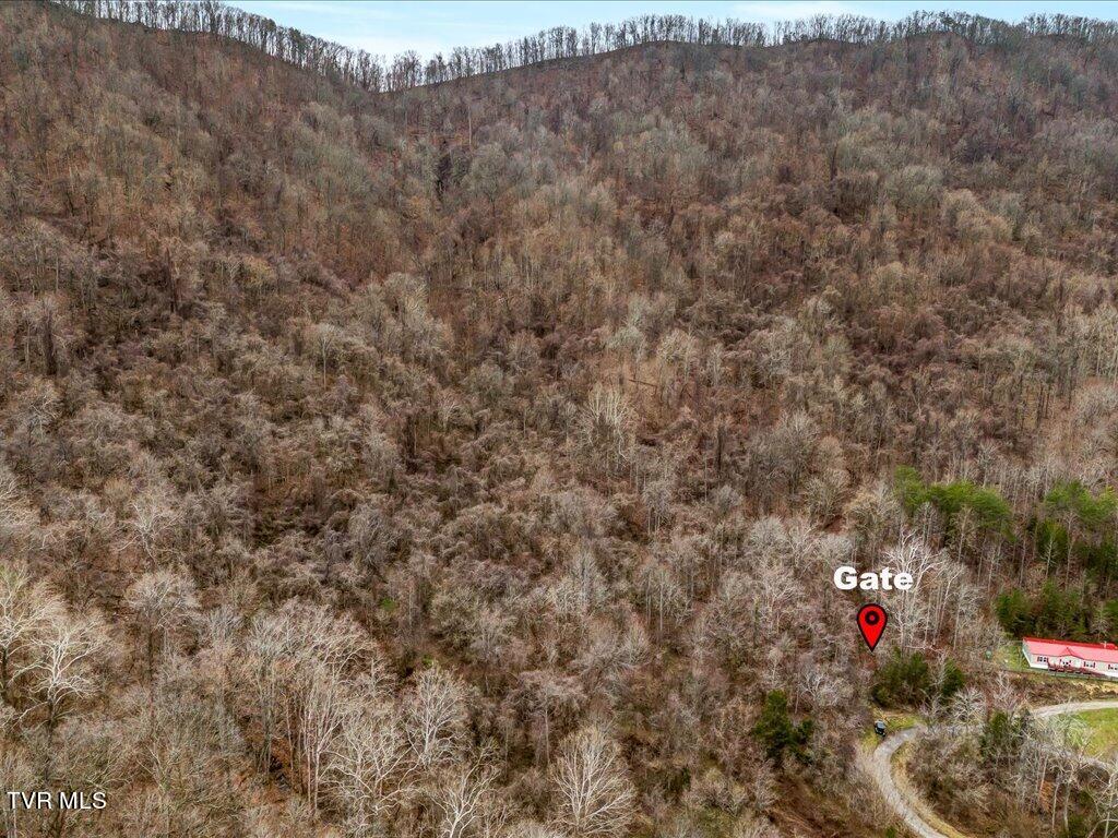 902 Charlie Dalton Lane, Thorn Hill, Tennessee image 10