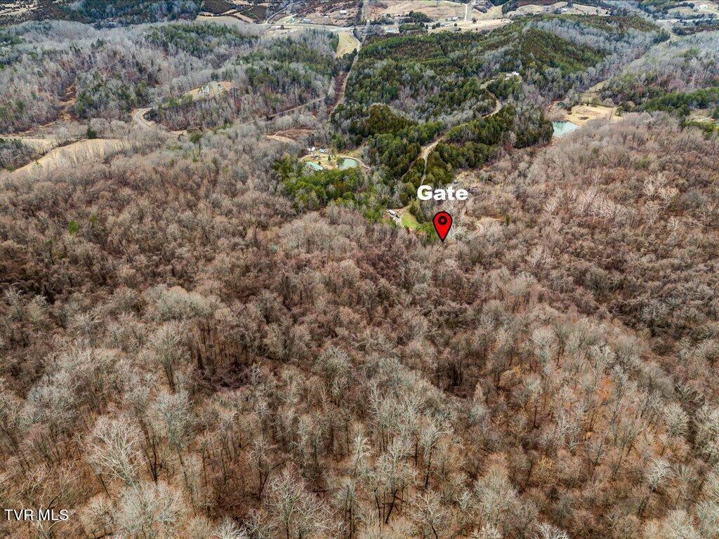 902 Charlie Dalton Lane, Thorn Hill, Tennessee image 19