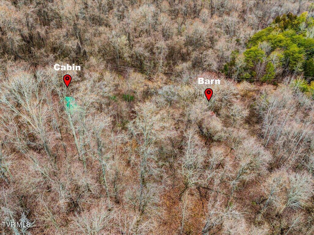 902 Charlie Dalton Lane, Thorn Hill, Tennessee image 18