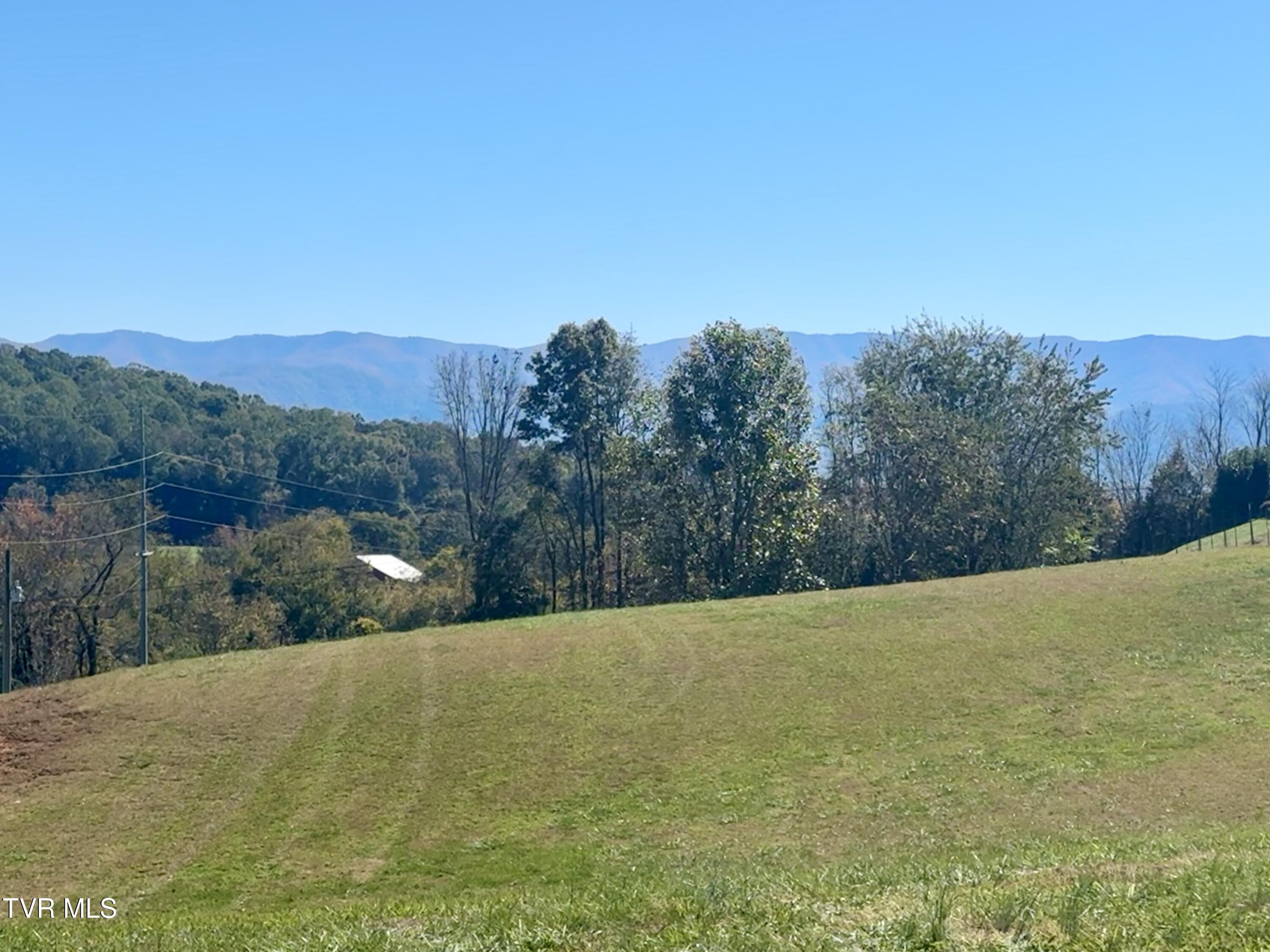 Tbd C M Jones Road, Greeneville, Tennessee image 14
