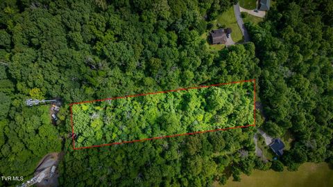 Vacant Land For Sale - LOT 40 Ridgeheights Drive<br/> Washington County County, Johnson City, TN 37615