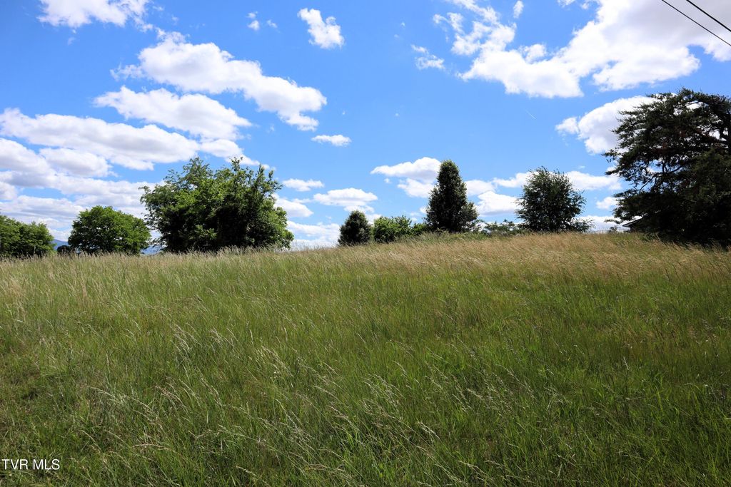 Photo of 9170 Old Stage Road, Limestone, TN 37681 (MLS # 9995601)