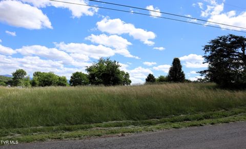 Photo of 9170 Old Stage Road, Limestone, TN 37681 (MLS # 9995601)