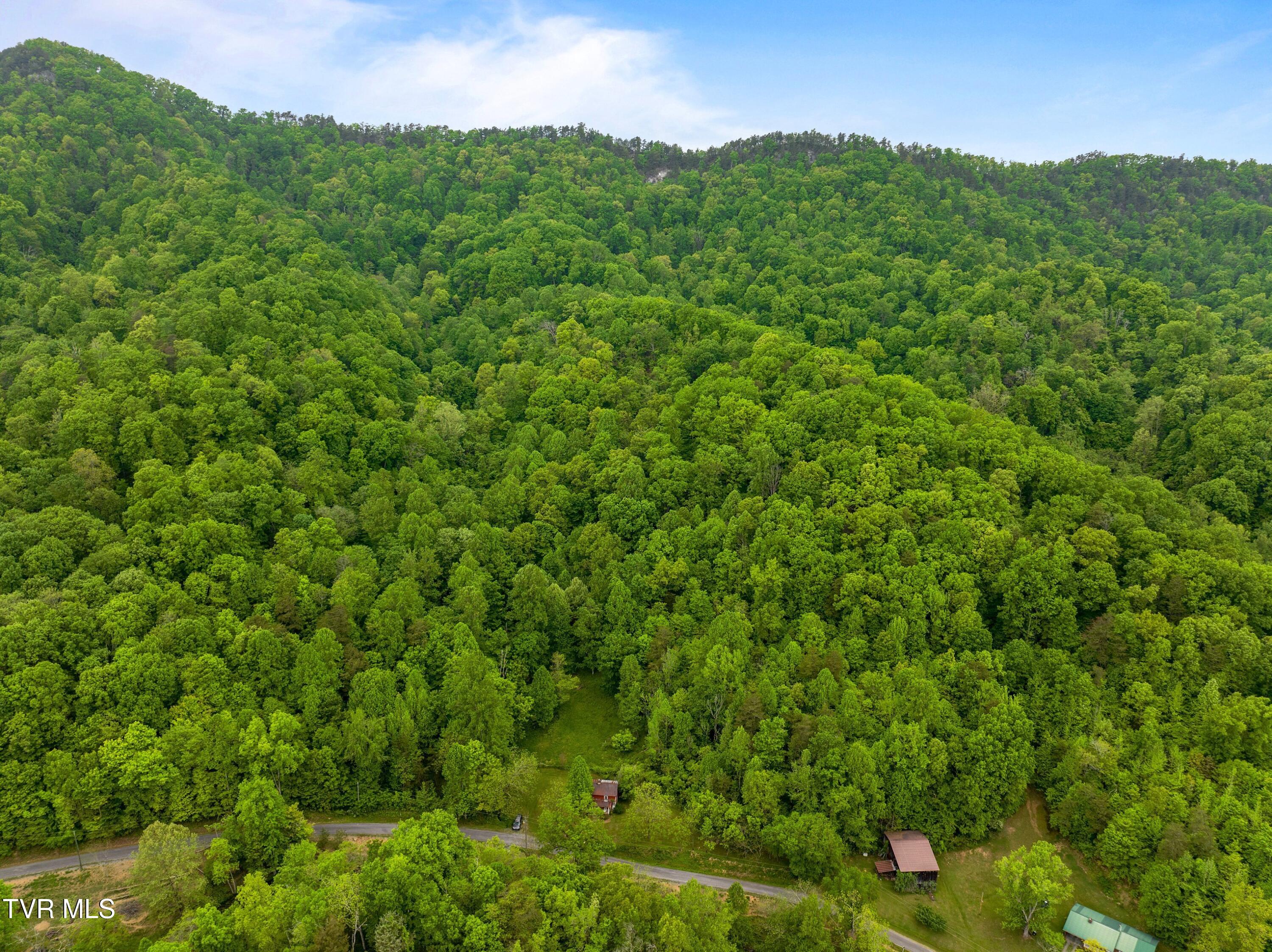 Tract 2 Sandy Valley Road, Rogersville, Tennessee image 2