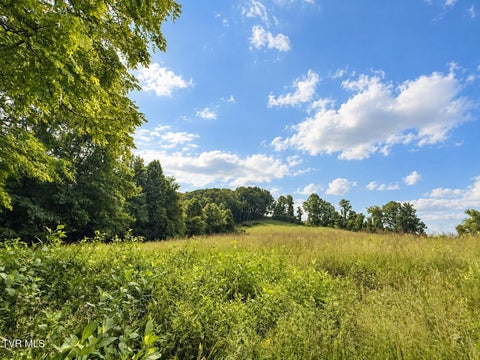 Vacant Land For Sale - 1859 Luray Road<br/> Gate City, VA 24251