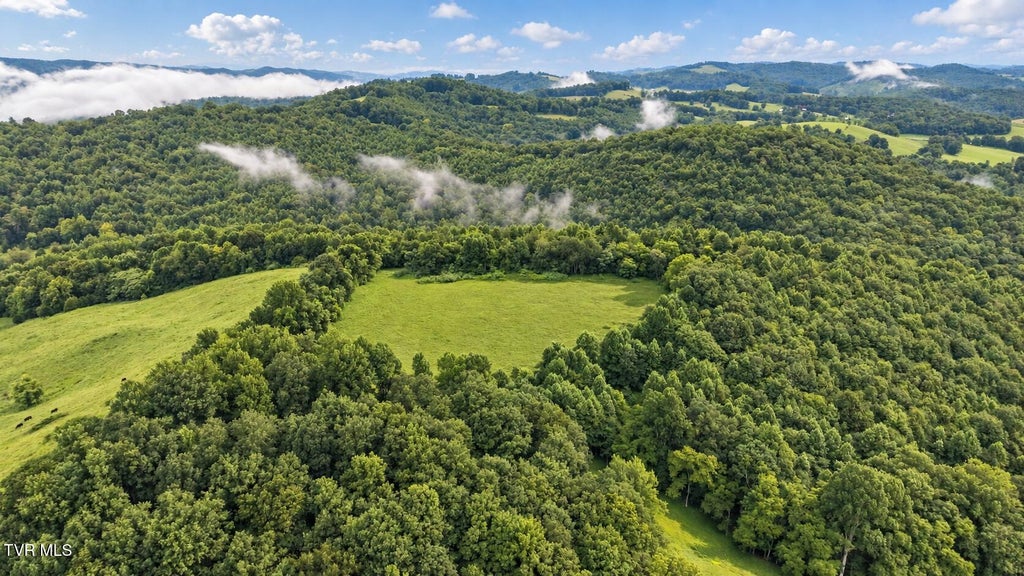 Photo of 1859 Luray Road, Gate City, VA 24251 (MLS # 10000616)