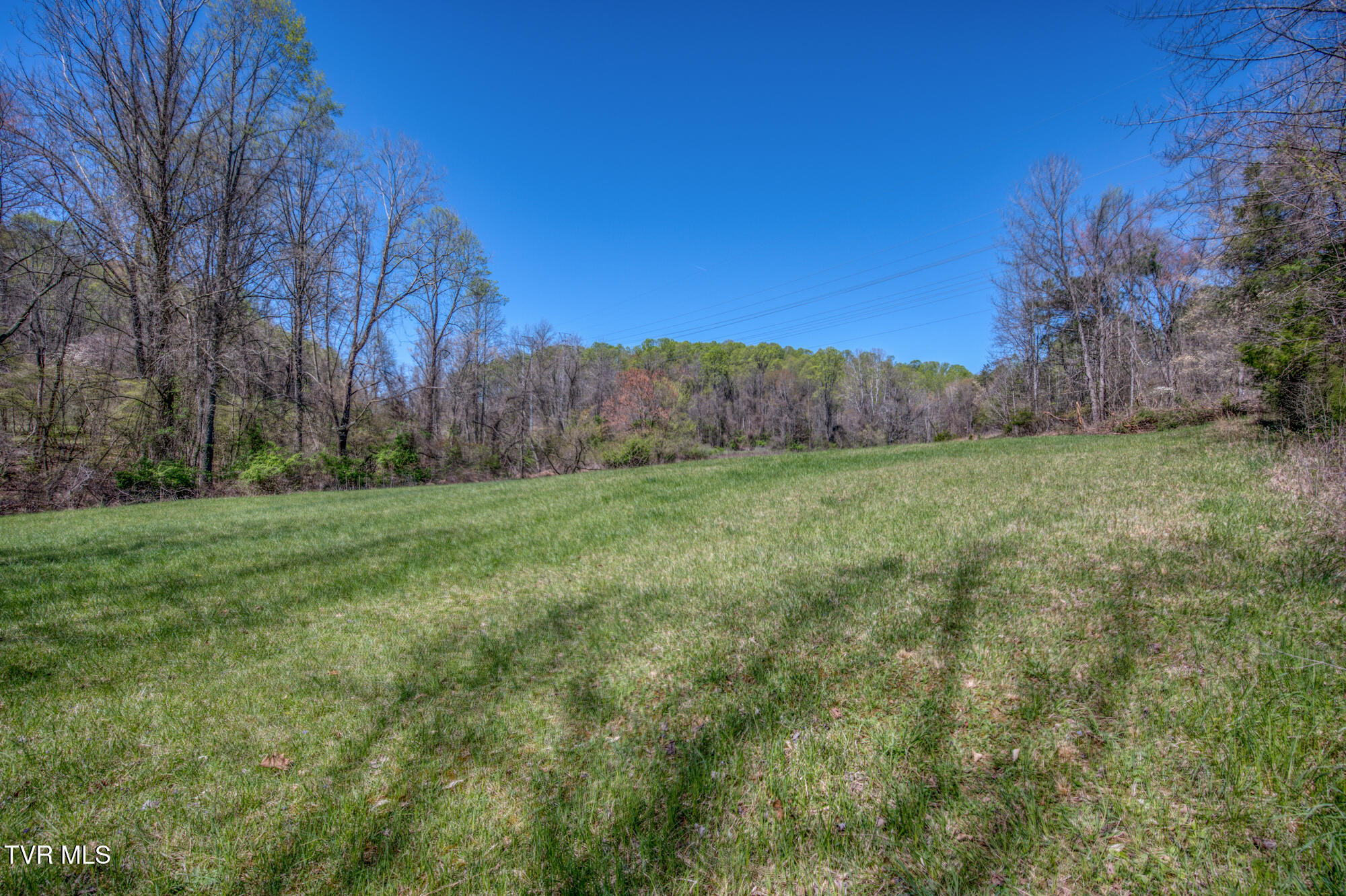 Tbd Wallace Pike, Bristol, Virginia image 20