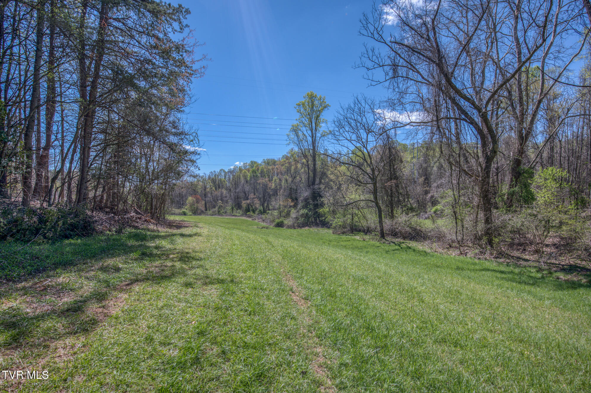 Tbd Wallace Pike, Bristol, Virginia image 26