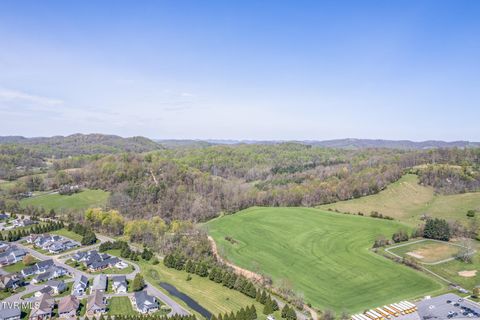 Vacant Land For Sale - TBD Wallace Pike<br/> Bristol, VA 24202