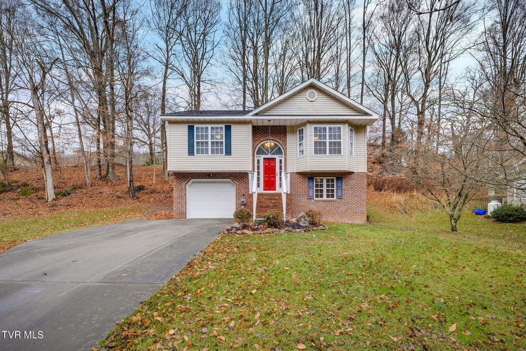 Photo of 3817 Rockford Street, Kingsport, TN 37664 (MLS # 9993269)